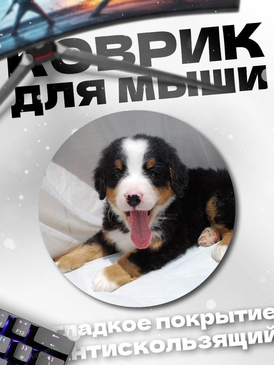 Коврик круглый Щенок бернского зенненхунда