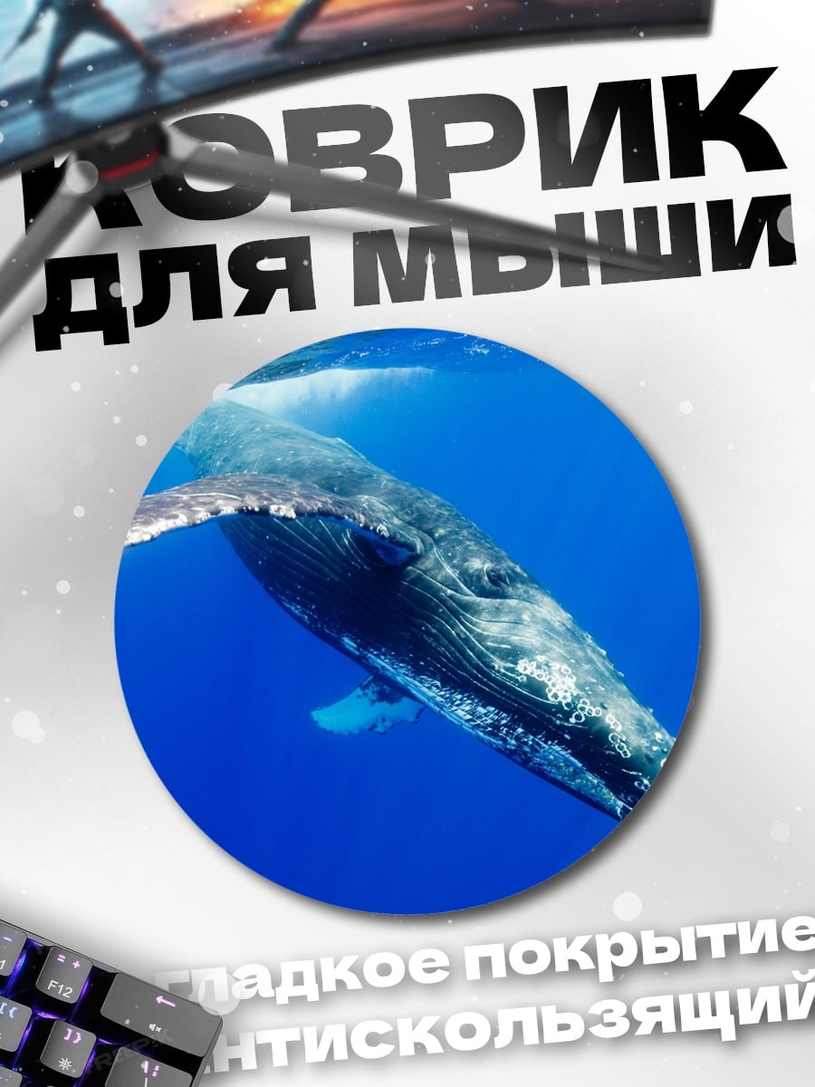 Коврик круглый Горбатый кит