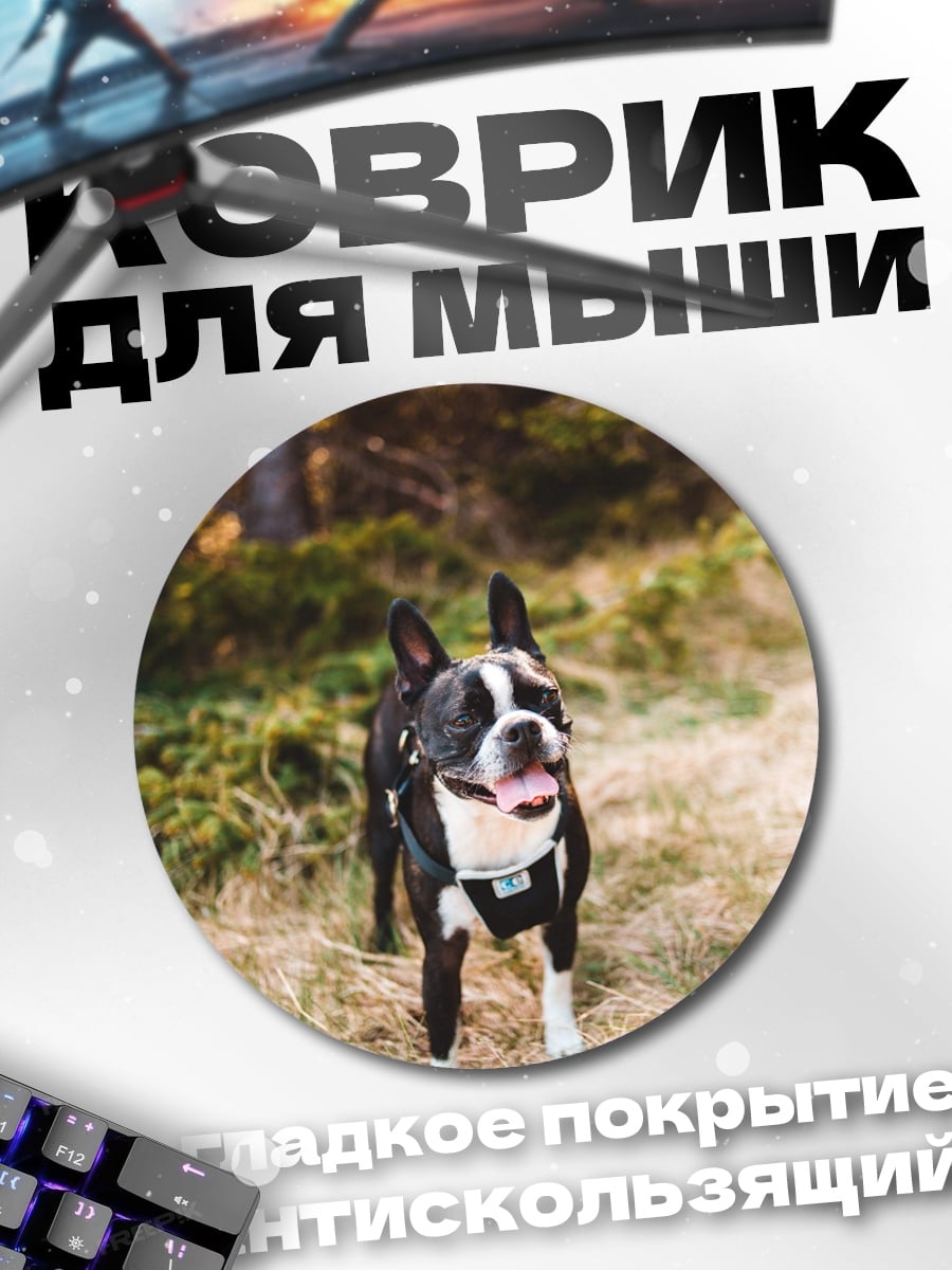 Коврик круглый Бостон терьер в лесу