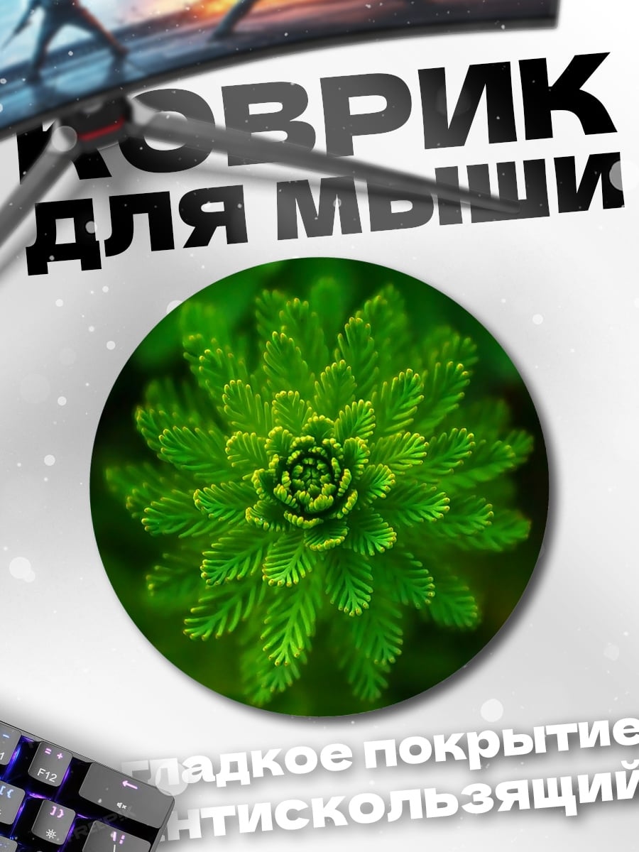 Коврик круглый Зеленое растение крупным планом