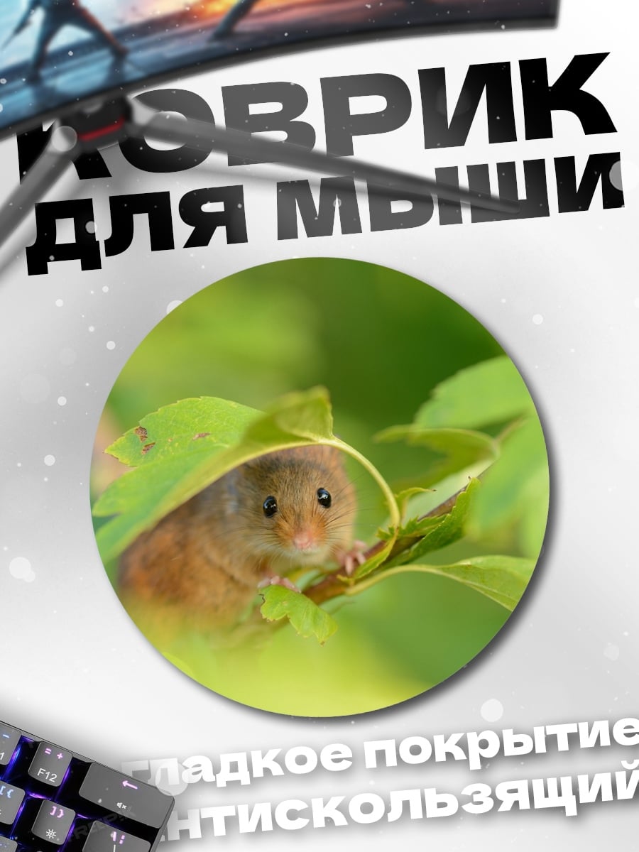 Коврик круглый Мышь в листве