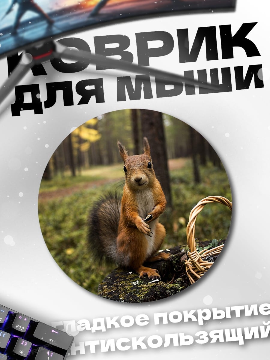 Коврик круглый Белка в лесу