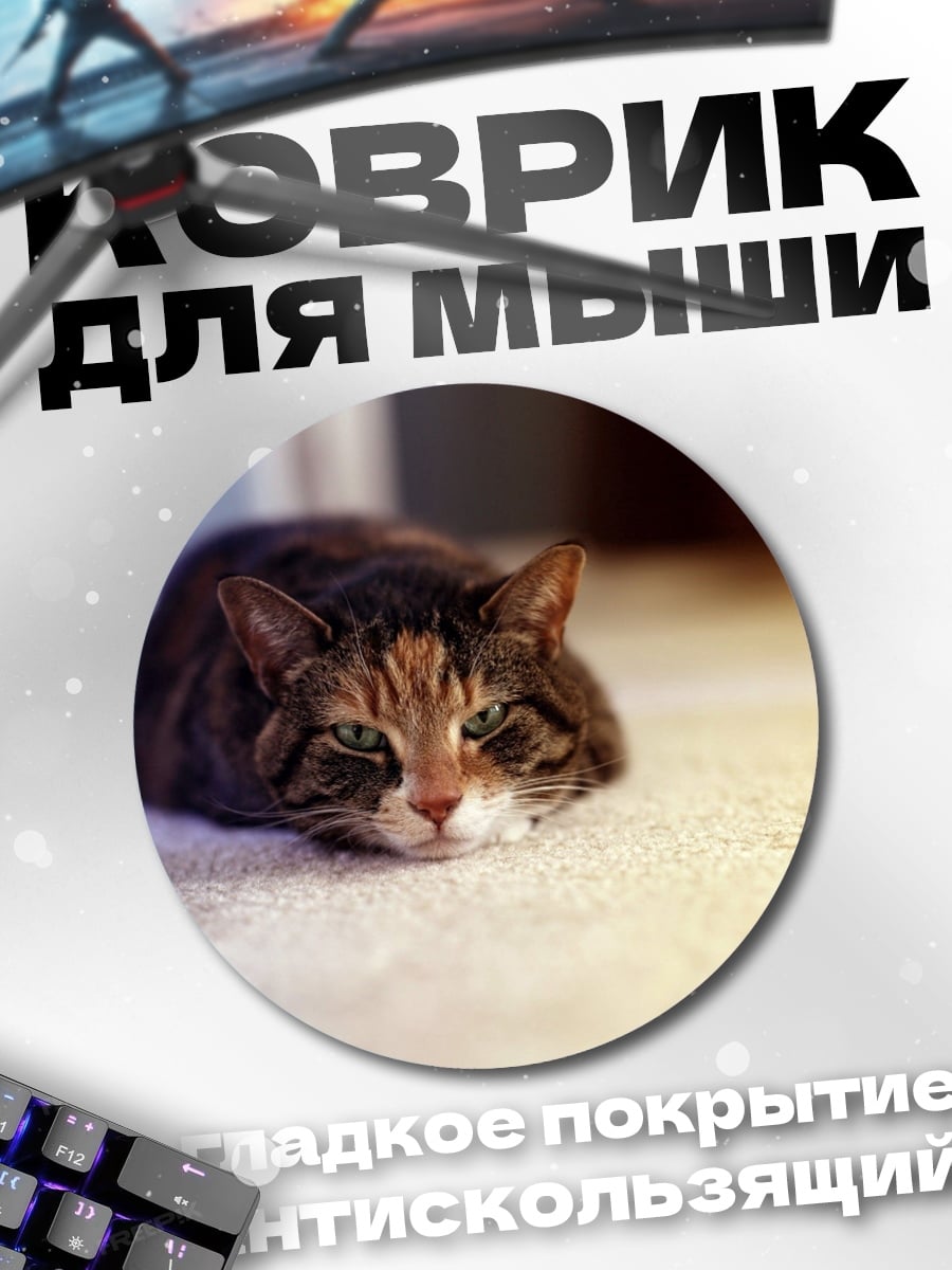 Коврик круглый кот на ковре