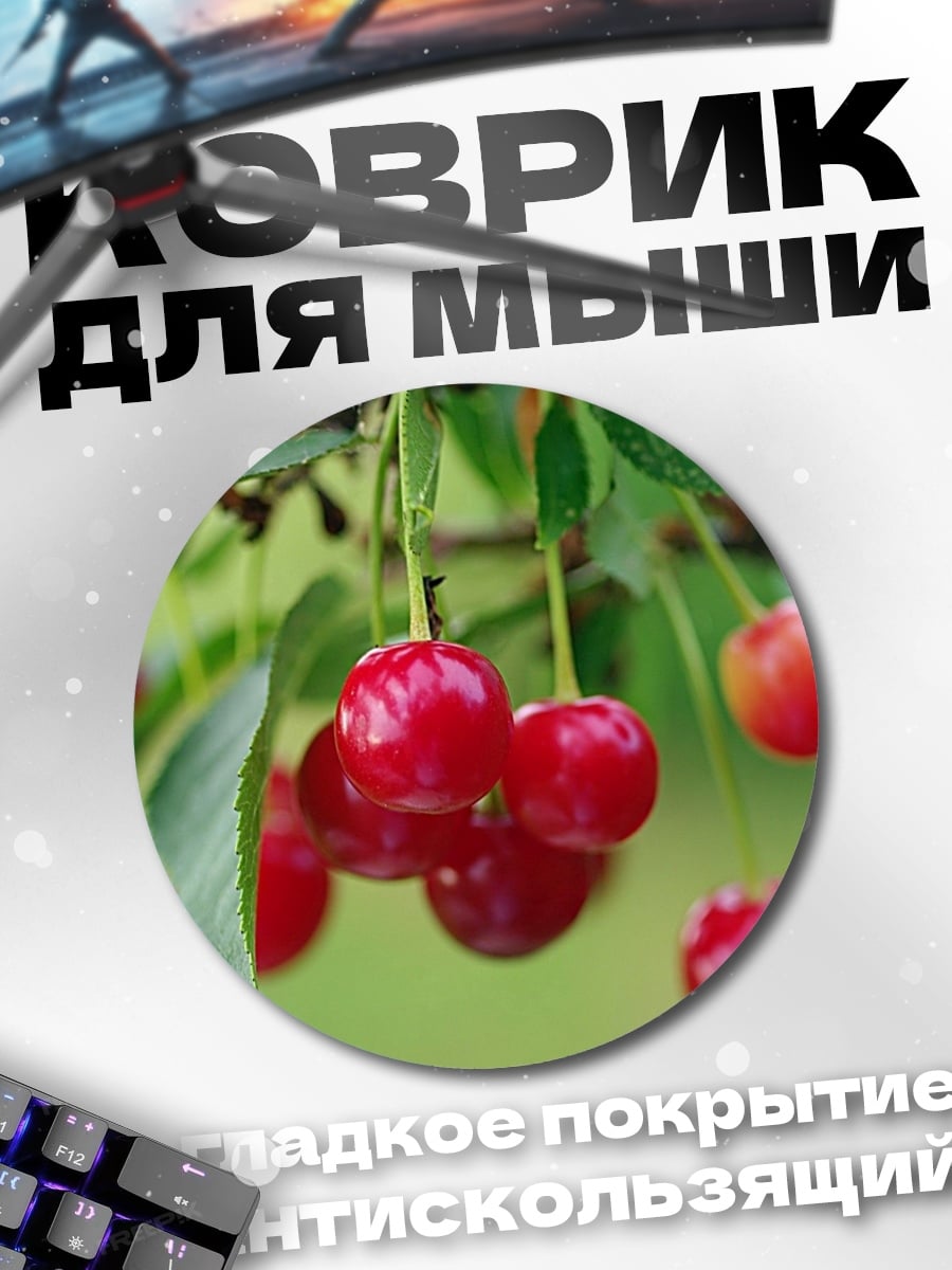 Коврик круглый Вишня на ветке