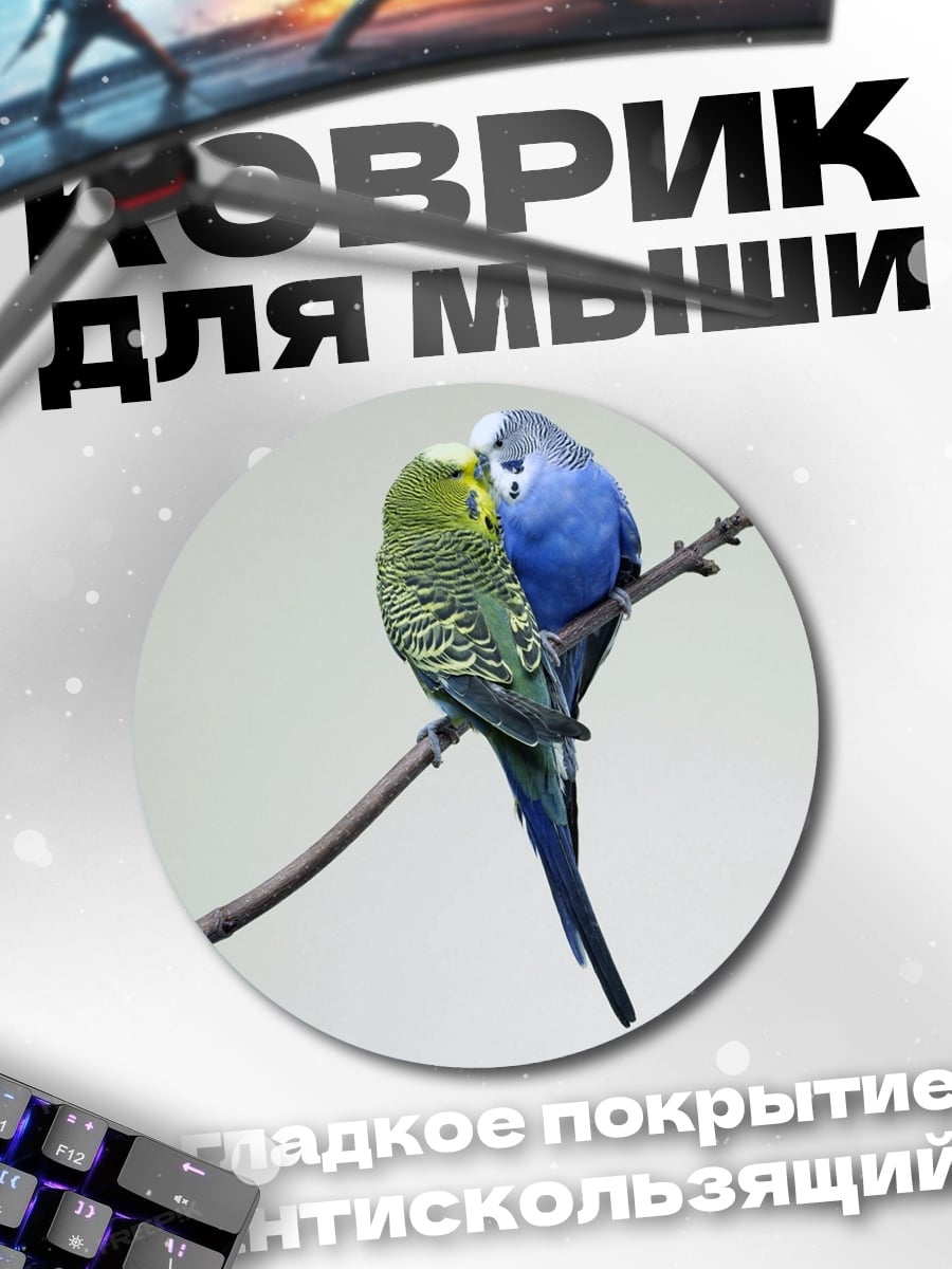 Коврик круглый Две птички