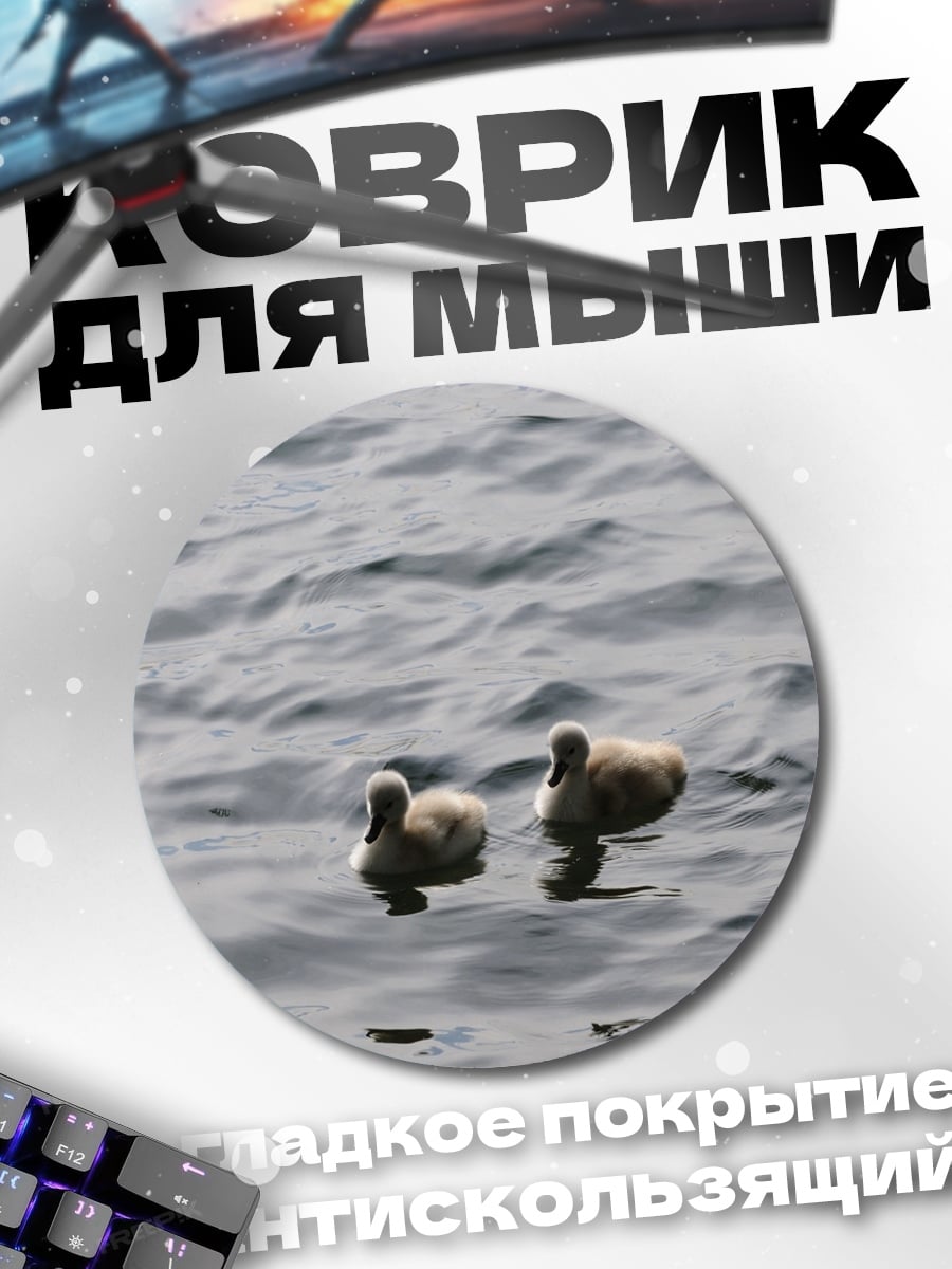 Коврик круглый Два лебедя на воде