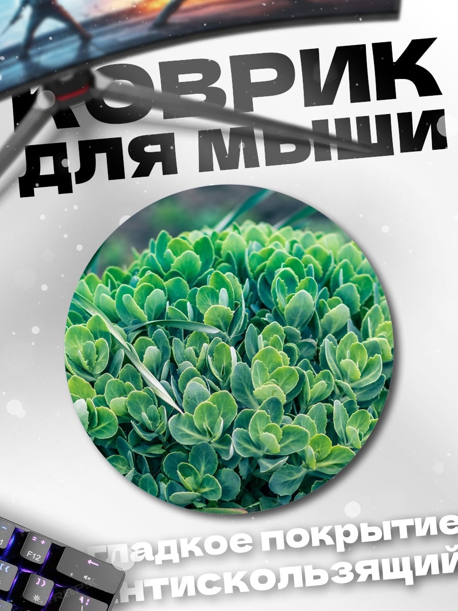 Коврик круглый Зеленый куст