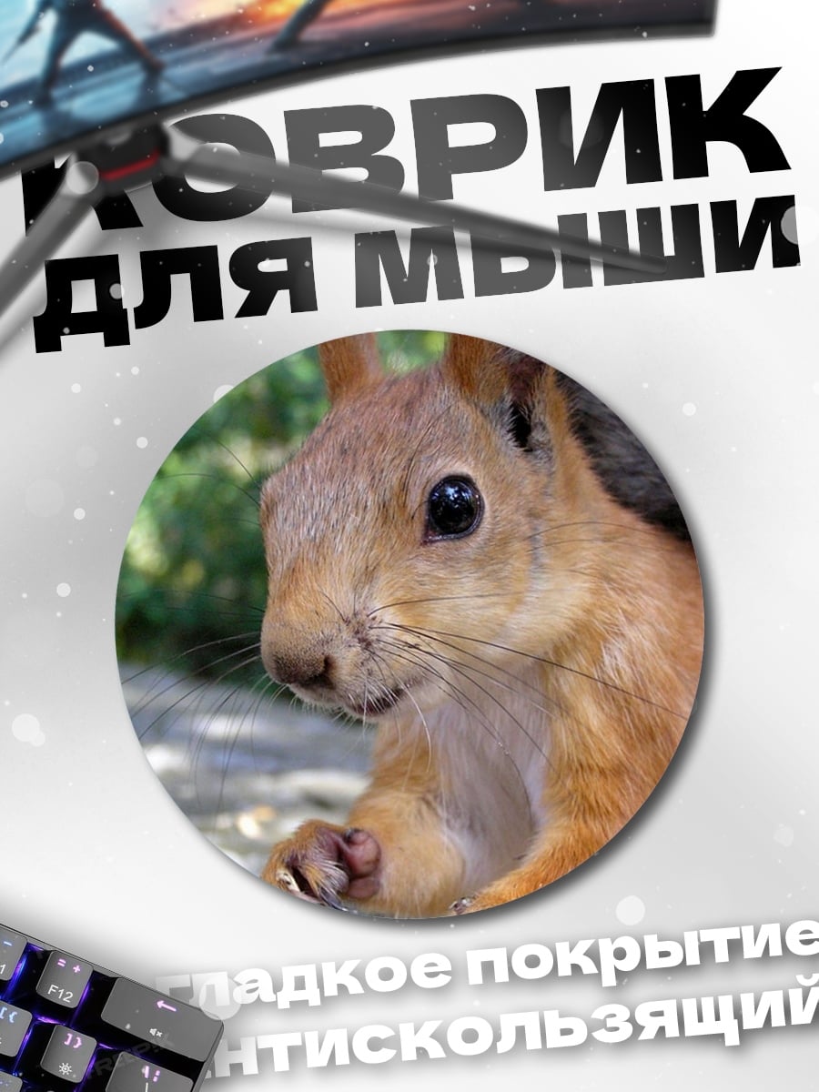 Коврик круглый Рыжая белка