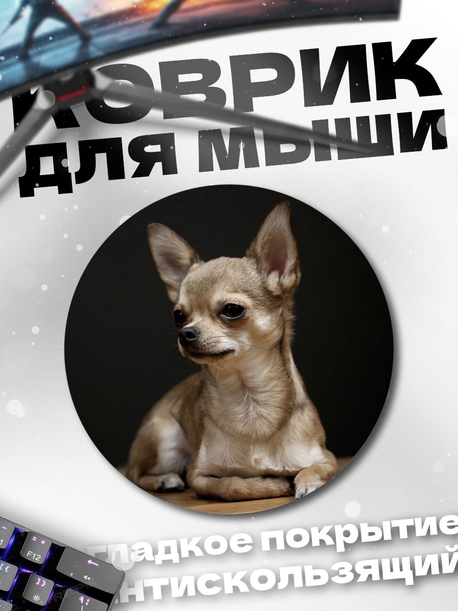 Коврик круглый Чихуахуа на полу