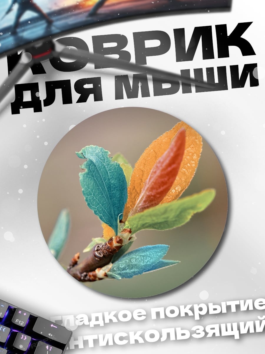 Коврик круглый Радужные листья ветки