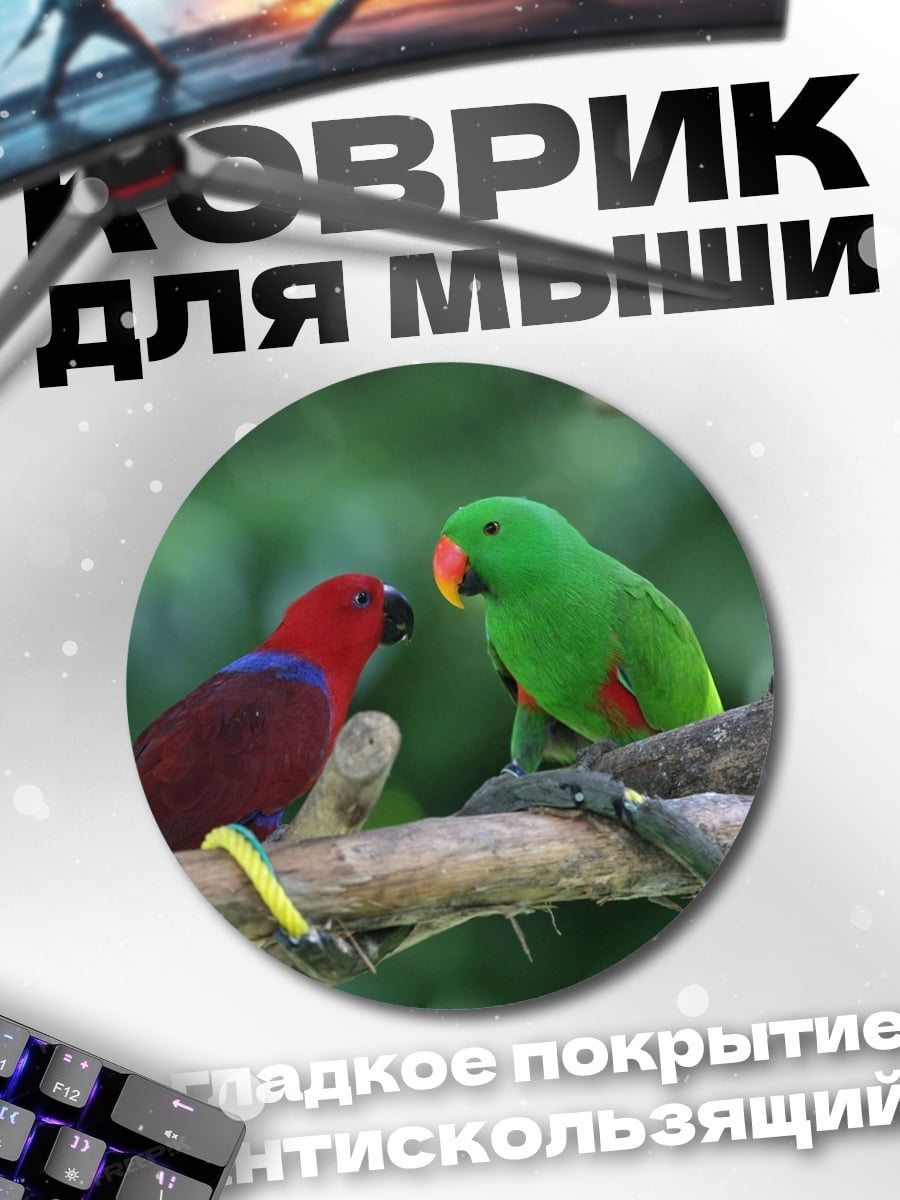 Коврик круглый Две попугаи на ветке