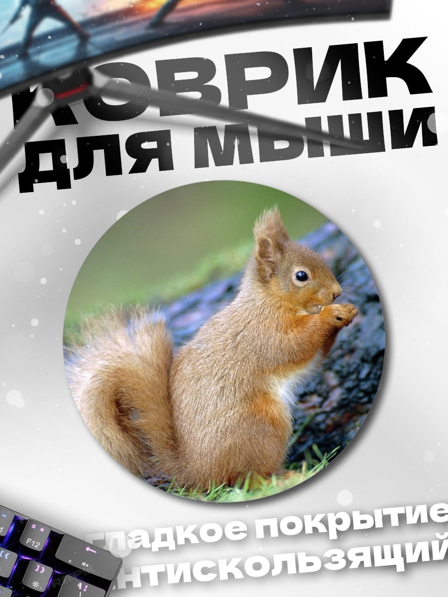 Коврик круглый Рыжая белка ест