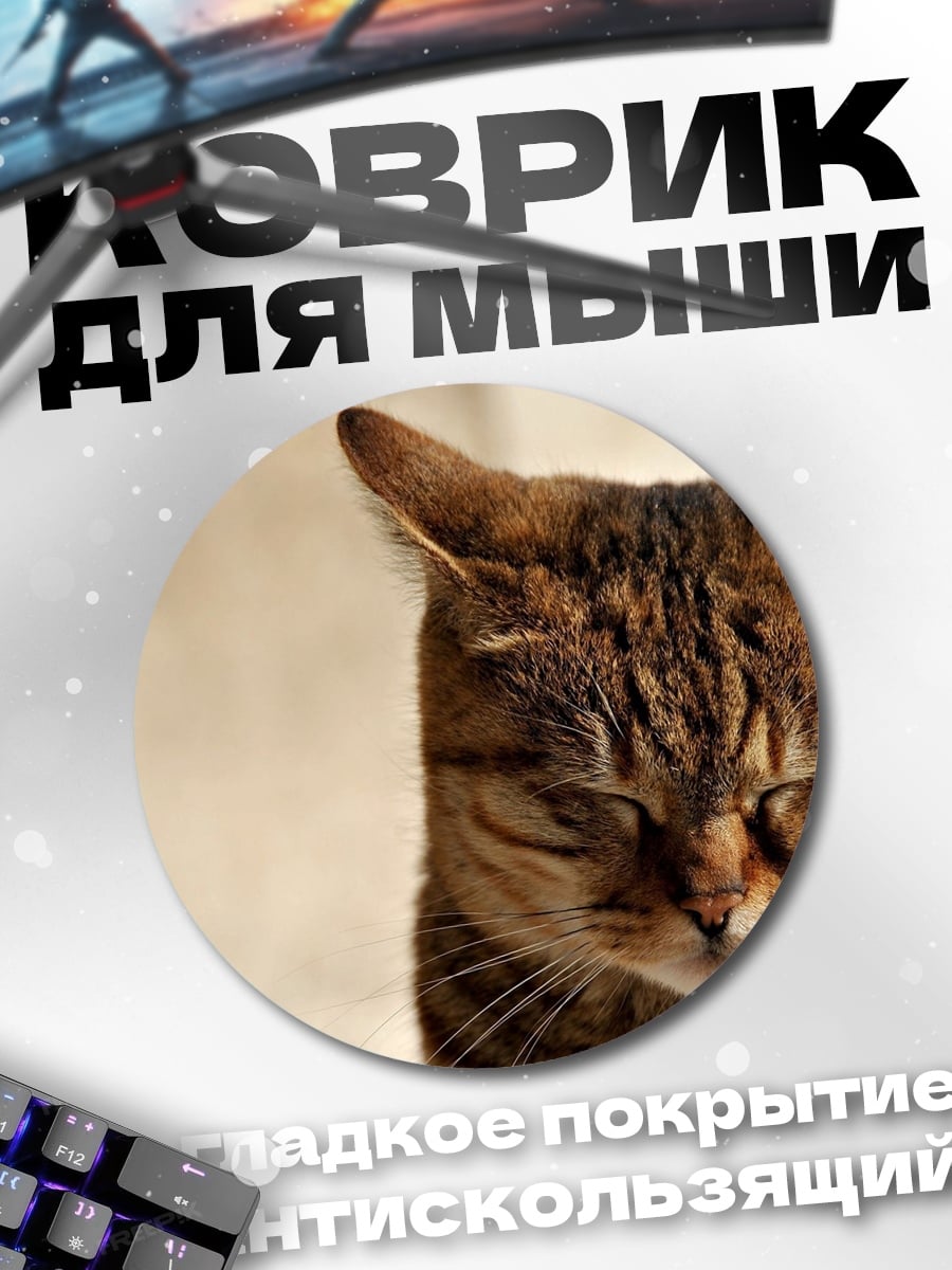 Коврик круглый спящий кот