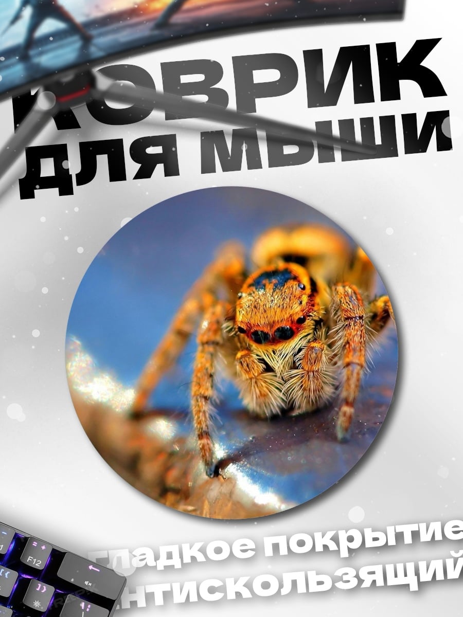 Коврик круглый Паук прыгун макро