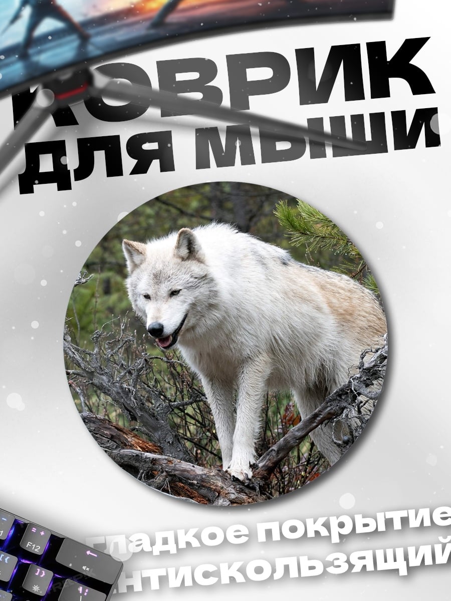 Коврик круглый Белый волк лес