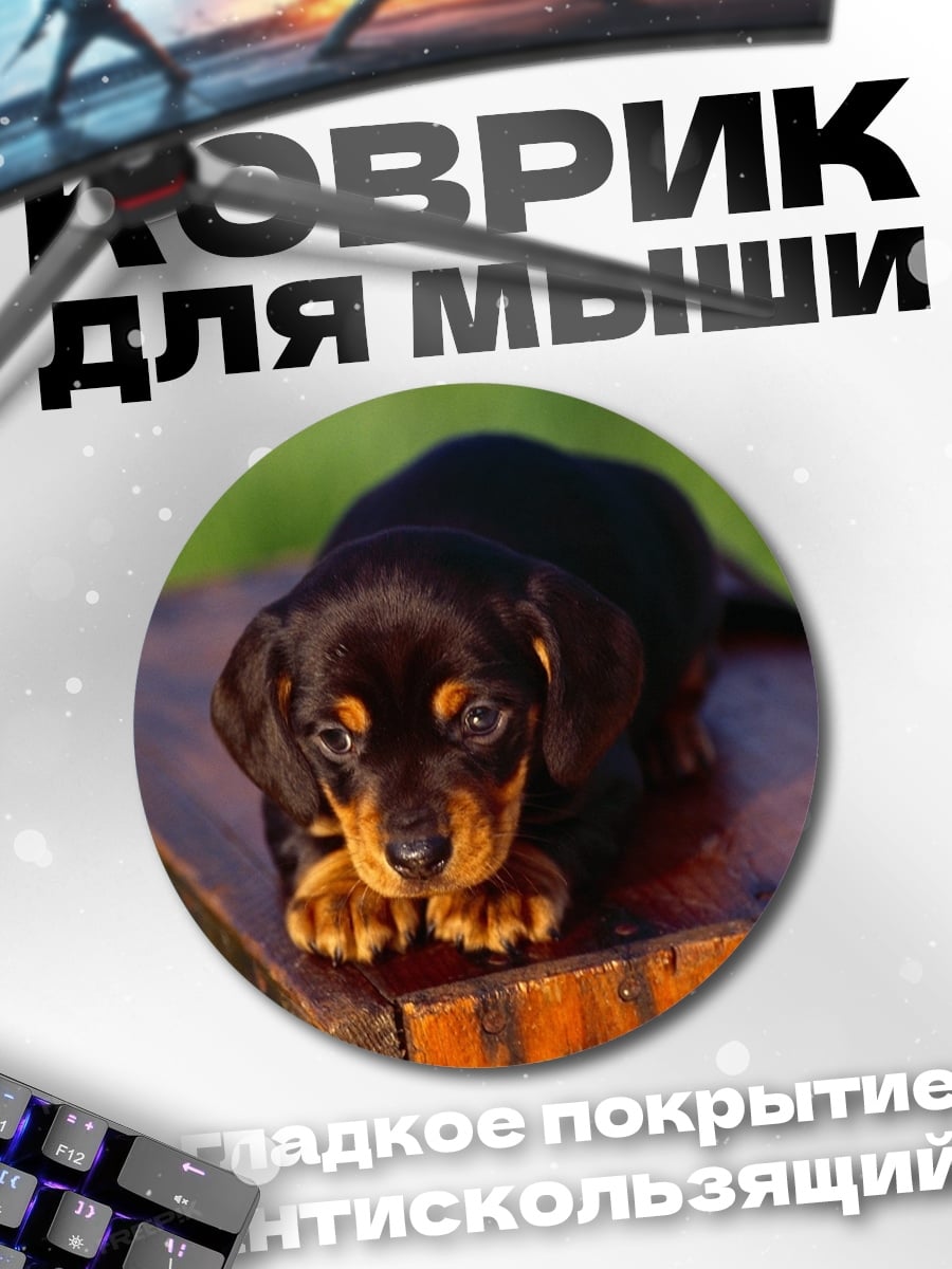 Коврик круглый Милый щенок таксы