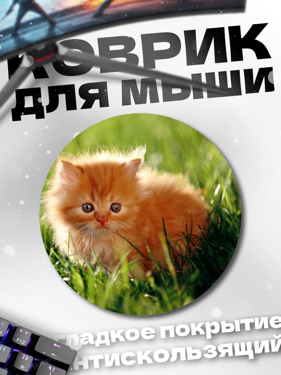 Коврик круглый Рыжий котенок в траве