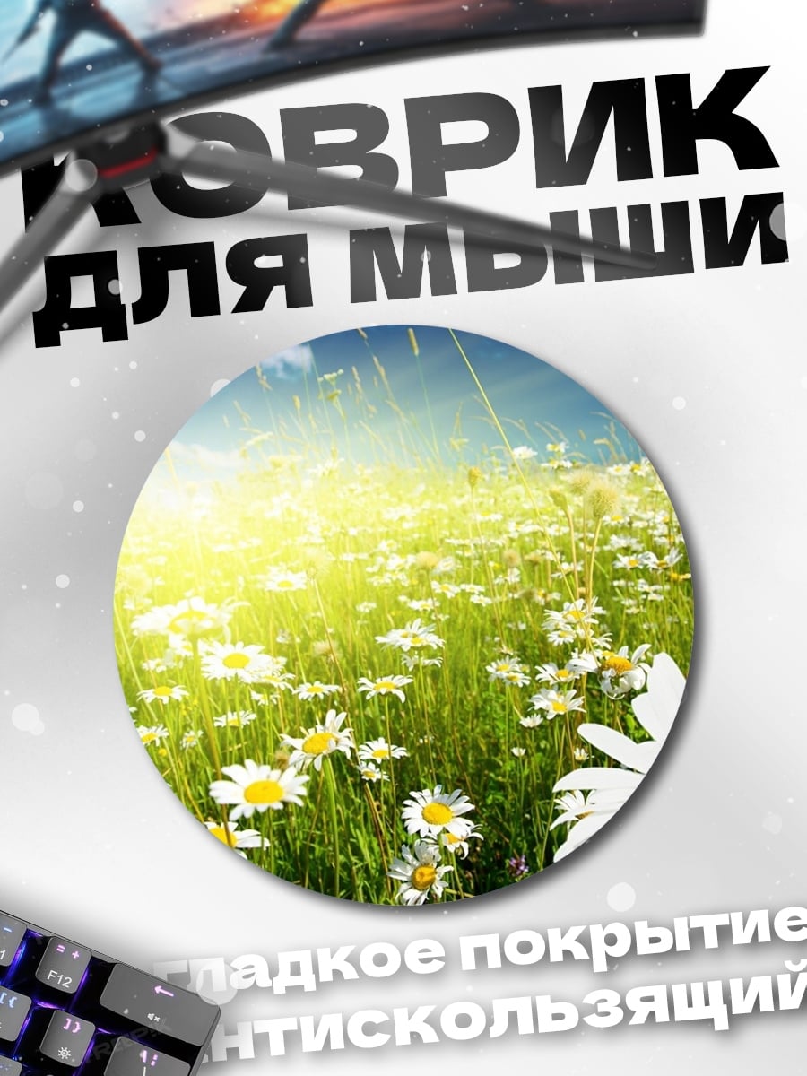 Коврик круглый Поле ромашек на солнце