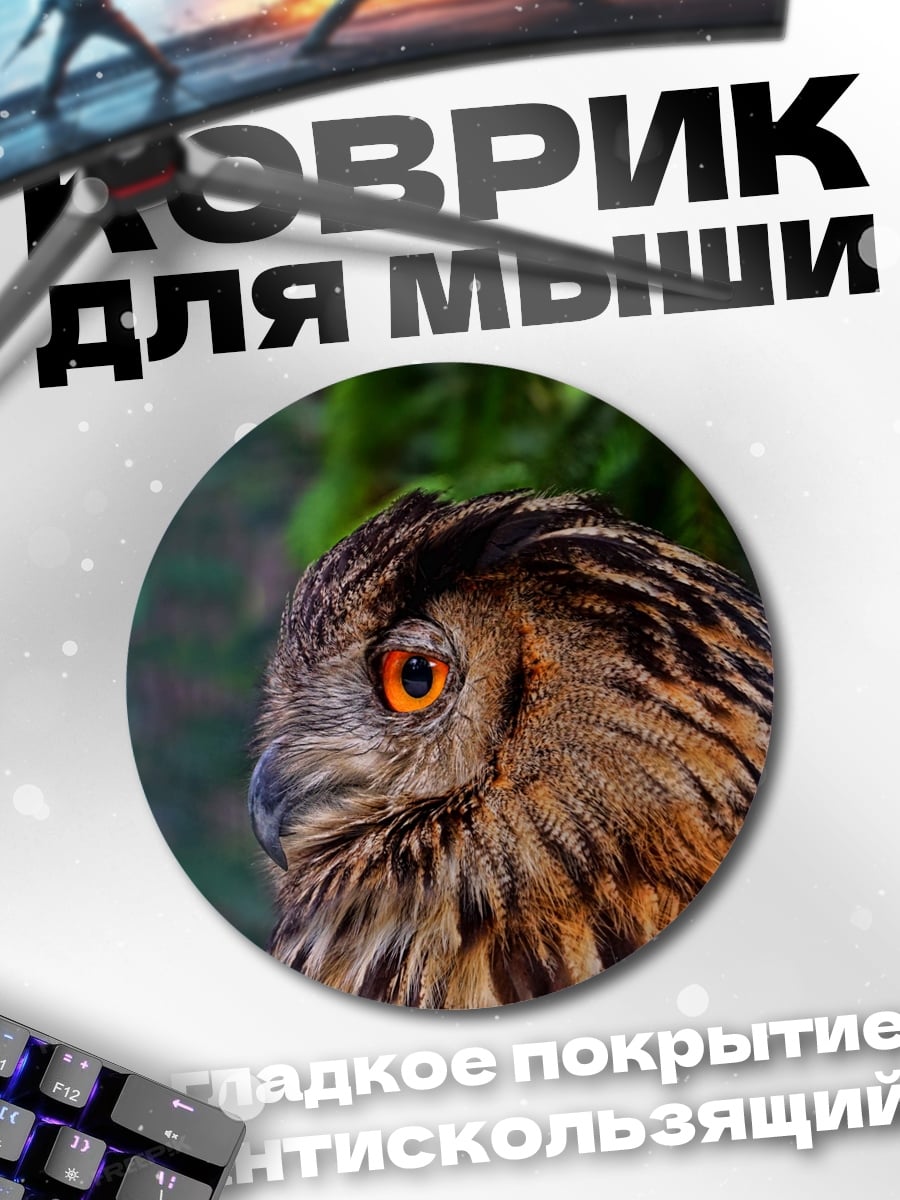 Коврик круглый Крупный план совы