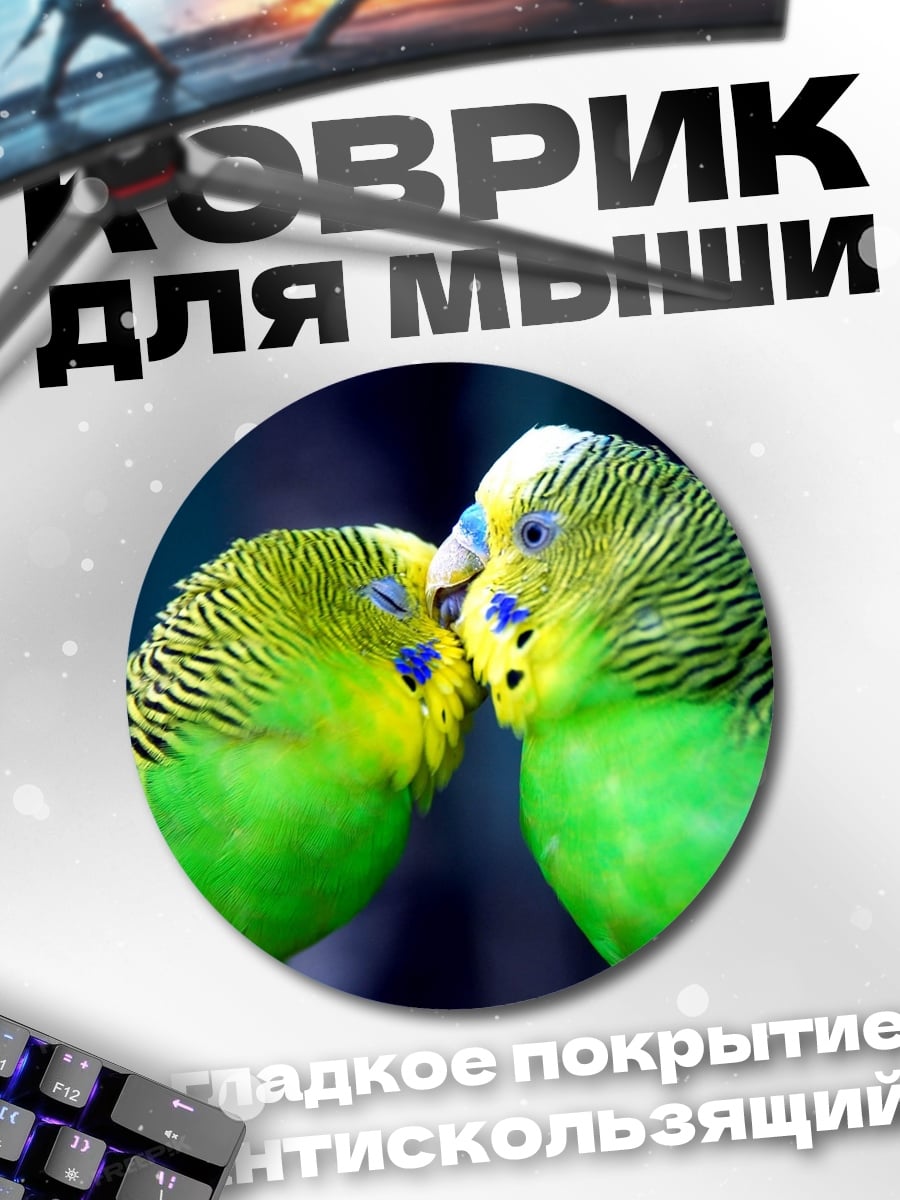 Коврик круглый Две волнистые попугайчики