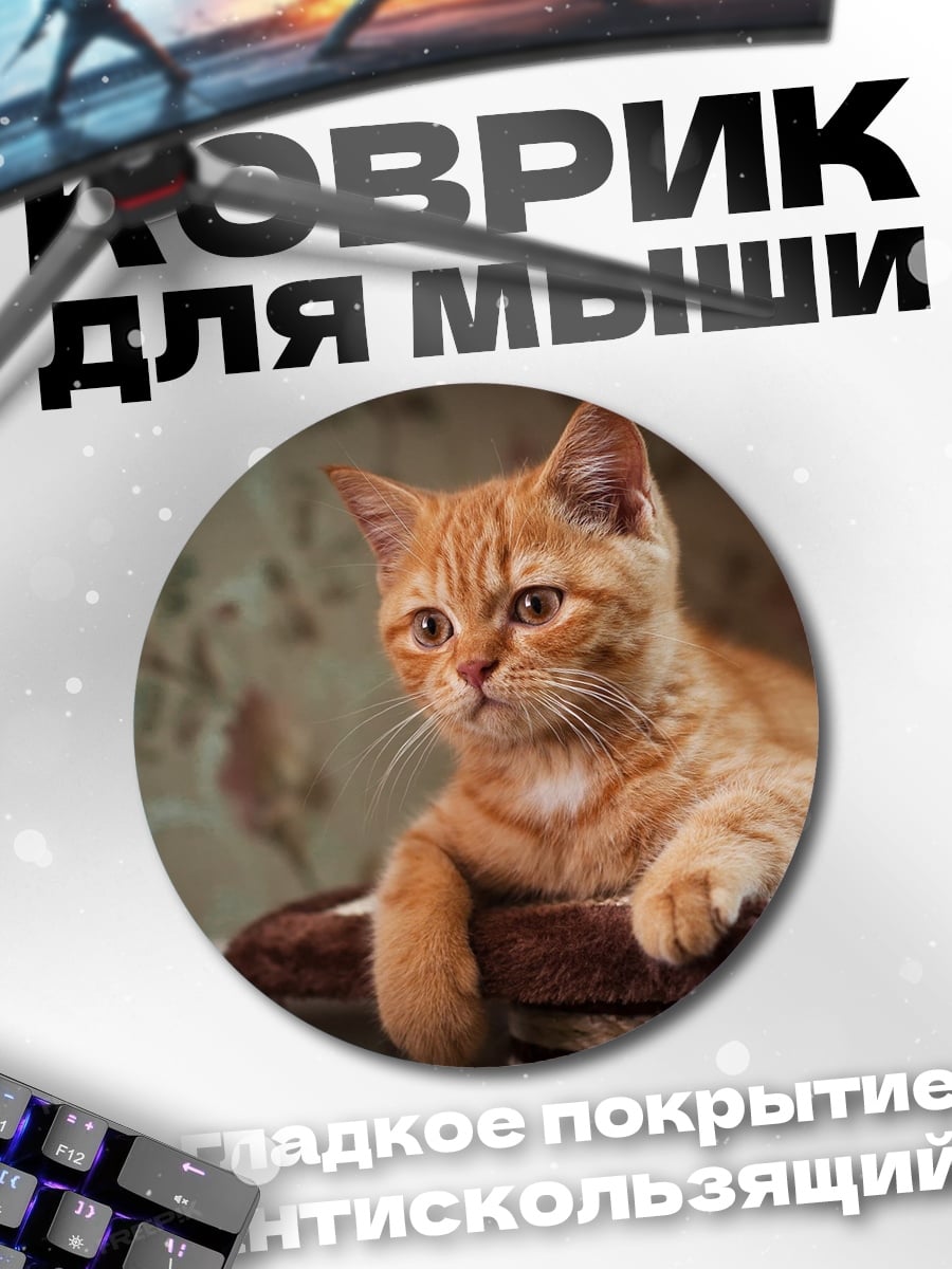 Коврик круглый Рыжий кот лежит