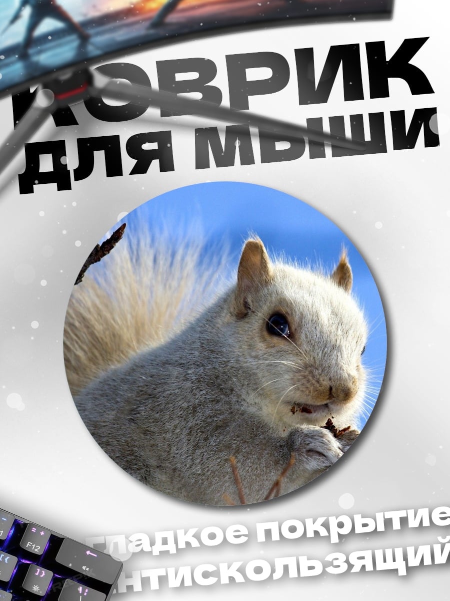 Коврик круглый Белая белка ветка