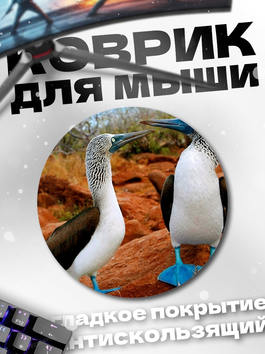 Коврик круглый Пара птиц