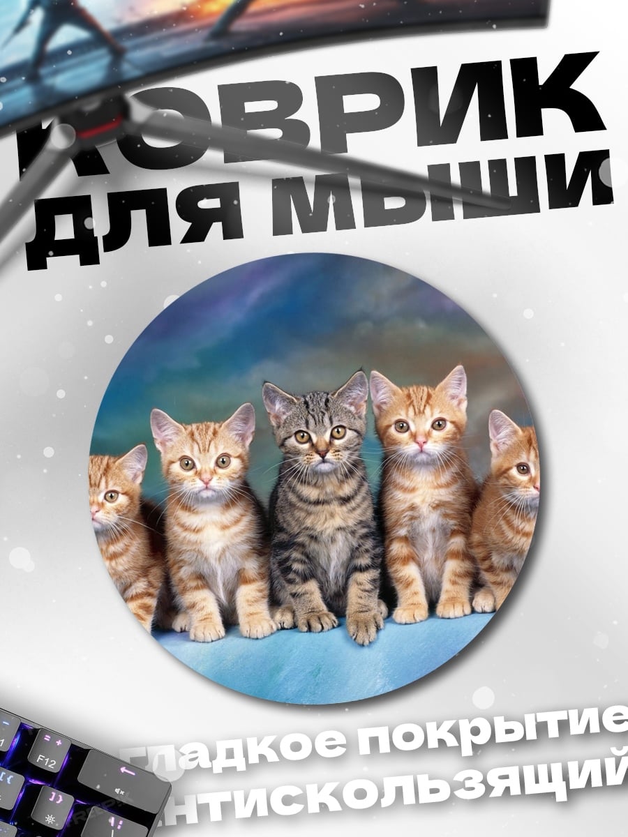 Коврик круглый пятеро котят вместе