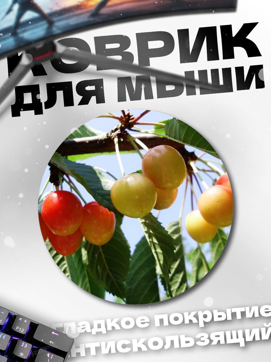 Коврик круглый Спелая вишня на ветке