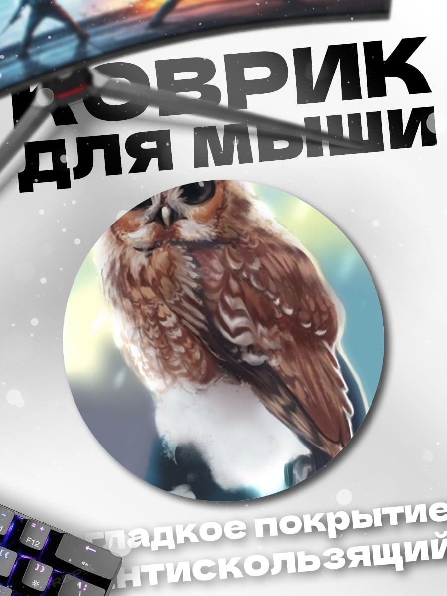 Коврик круглый Сонная сова зимой