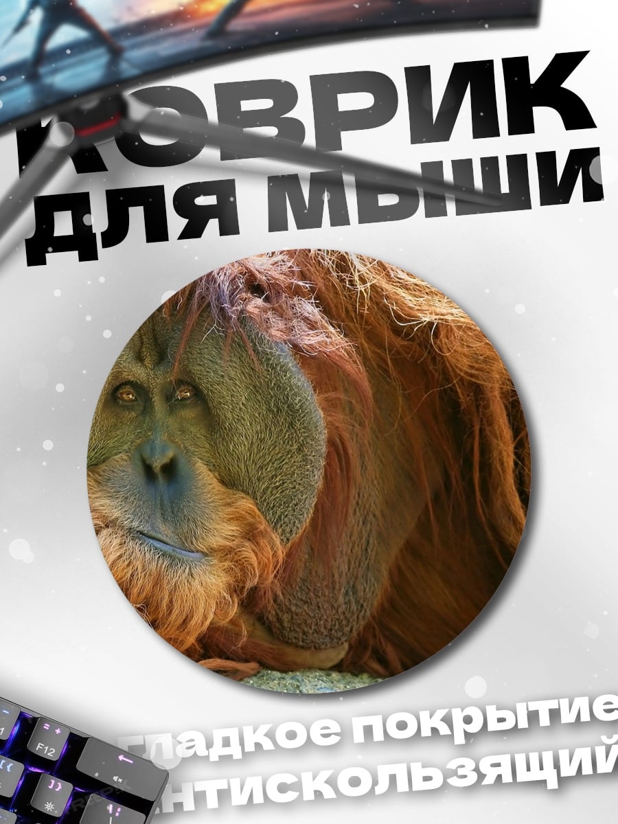 Коврик круглый Орангутан в лесу
