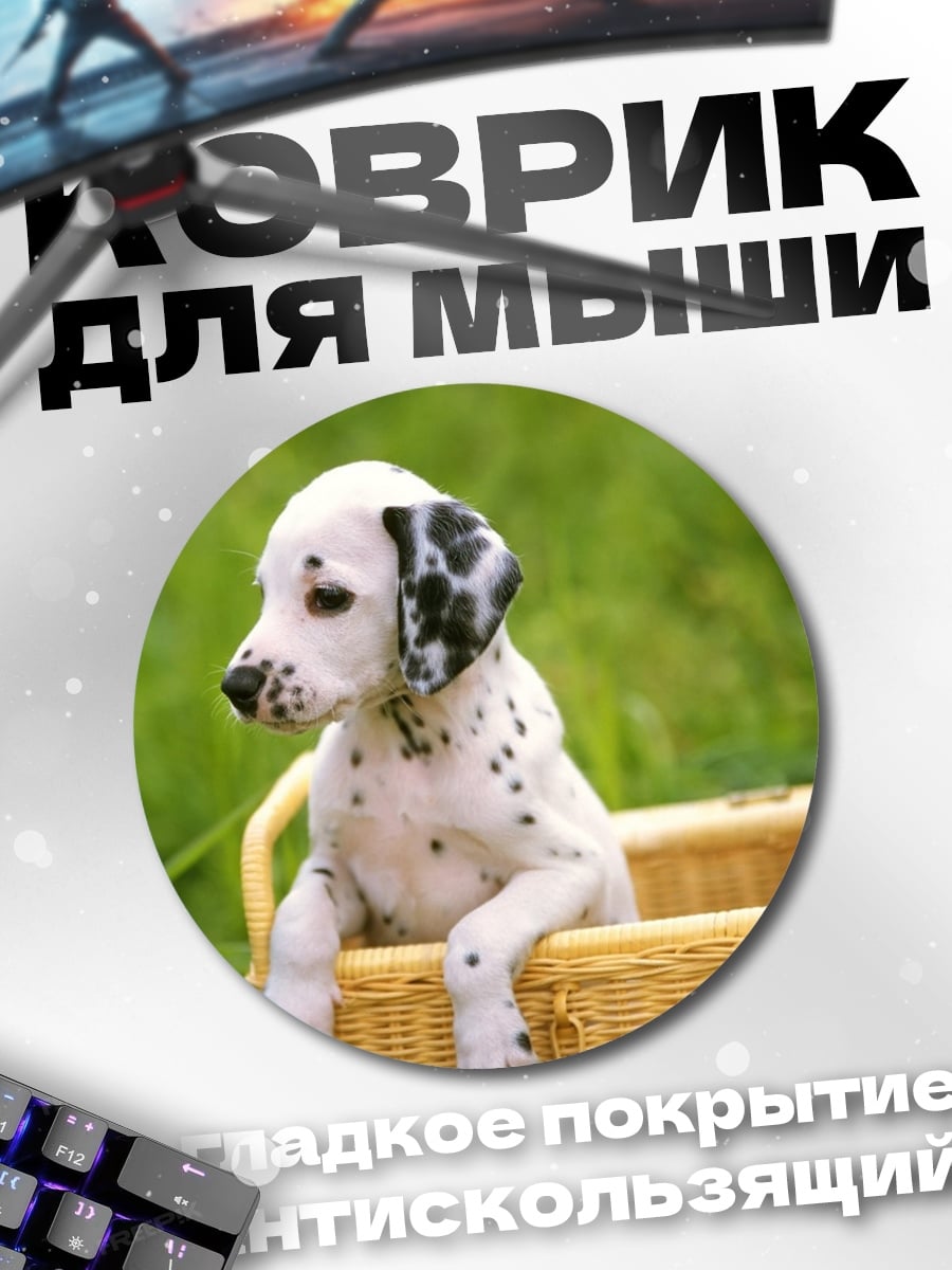Коврик круглый Щенок далматинца корзина