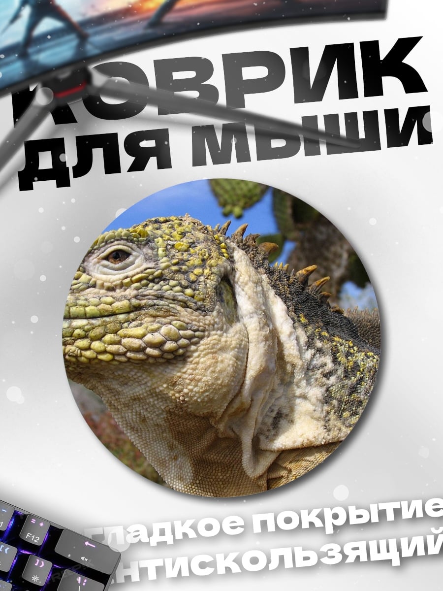 Коврик круглый Игуана на ветке