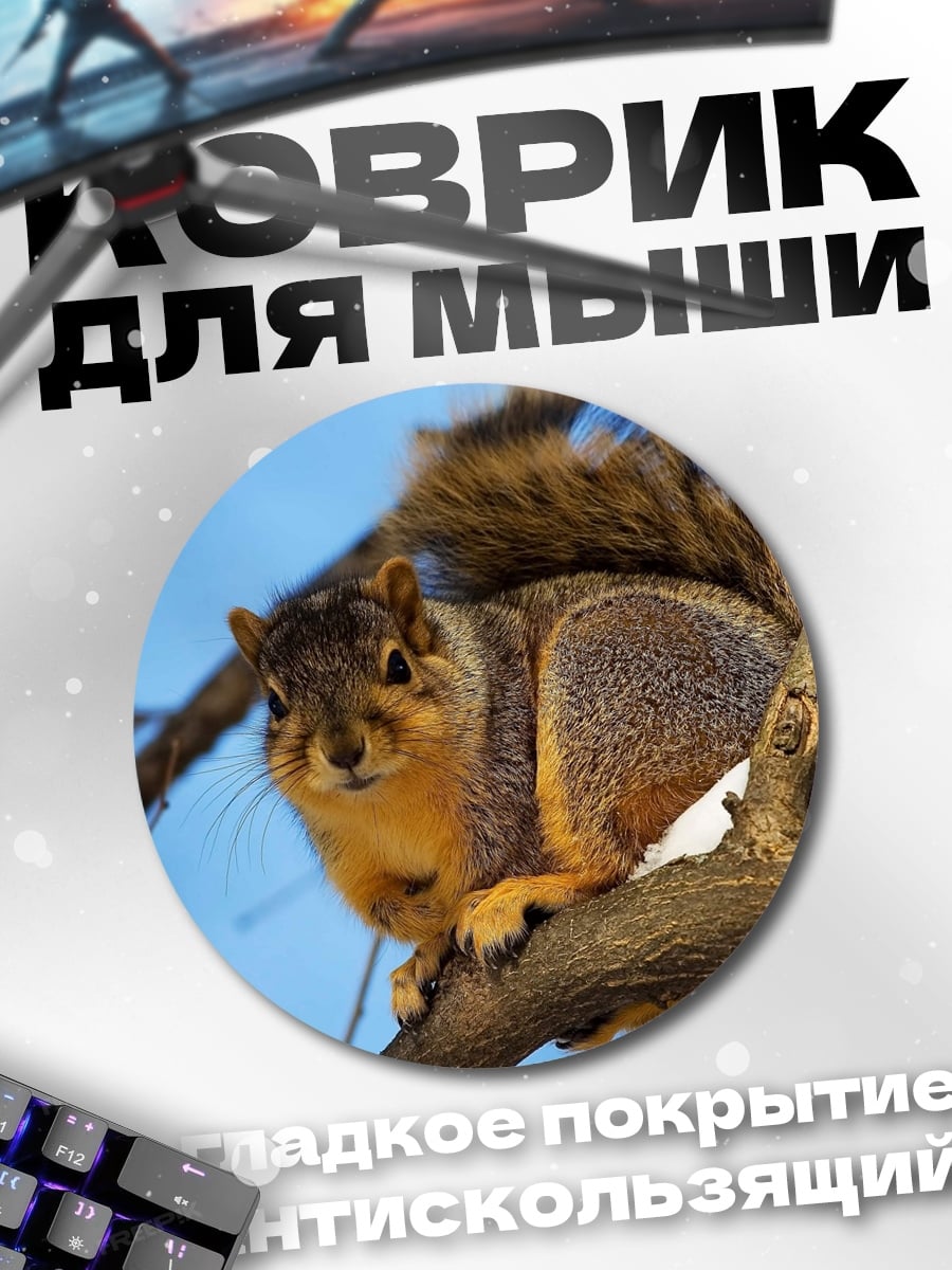 Коврик круглый Белка на ветке