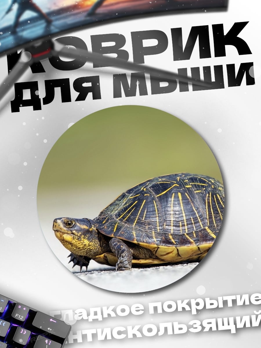 Коврик круглый Черепаха на дороге