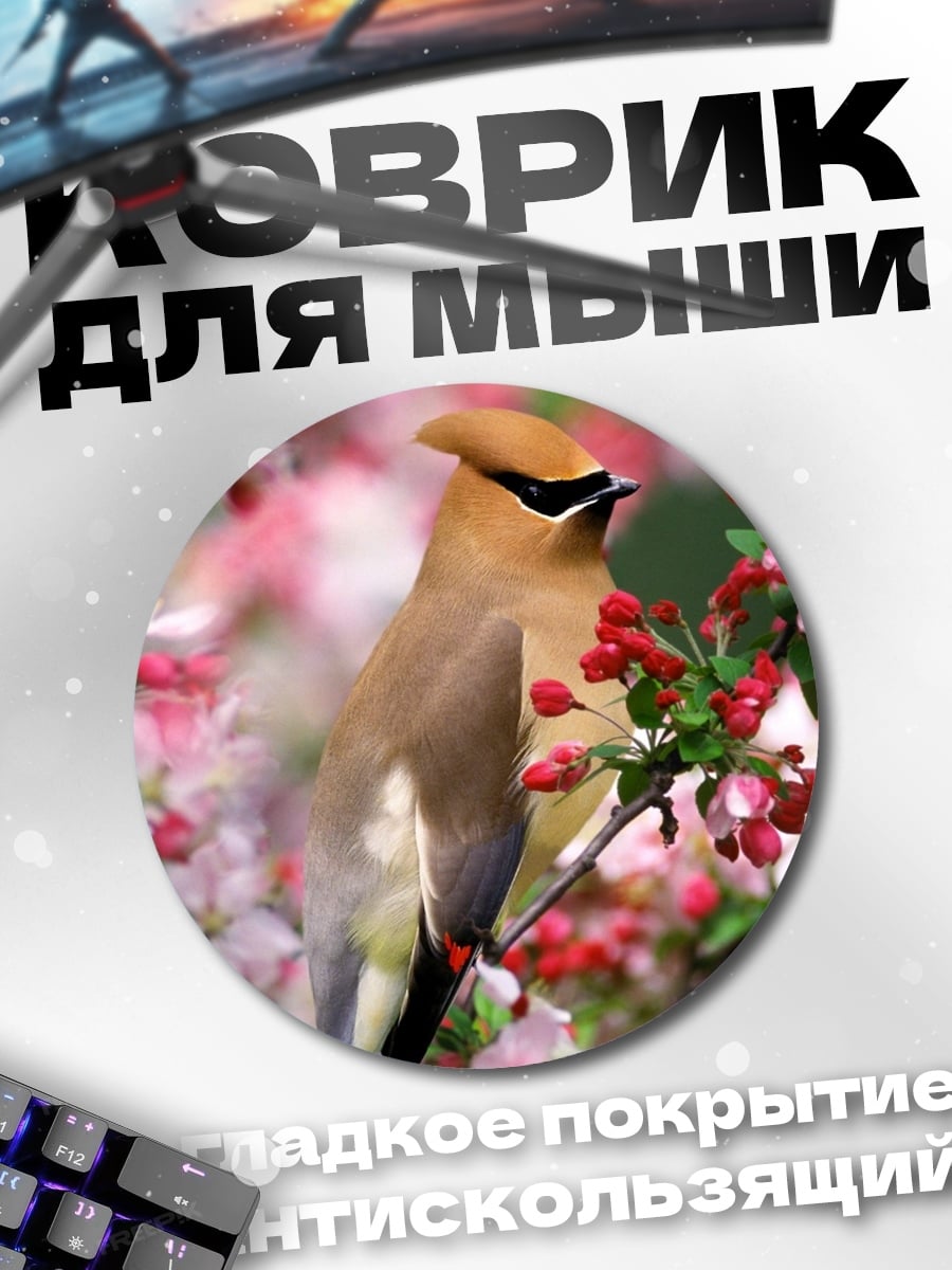 Коврик круглый Птица на цветущей ветке