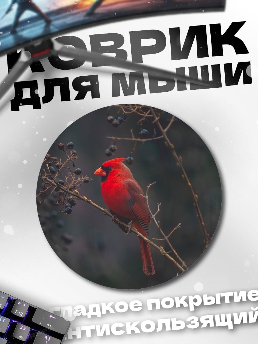 Коврик круглый Красный кардинал птица