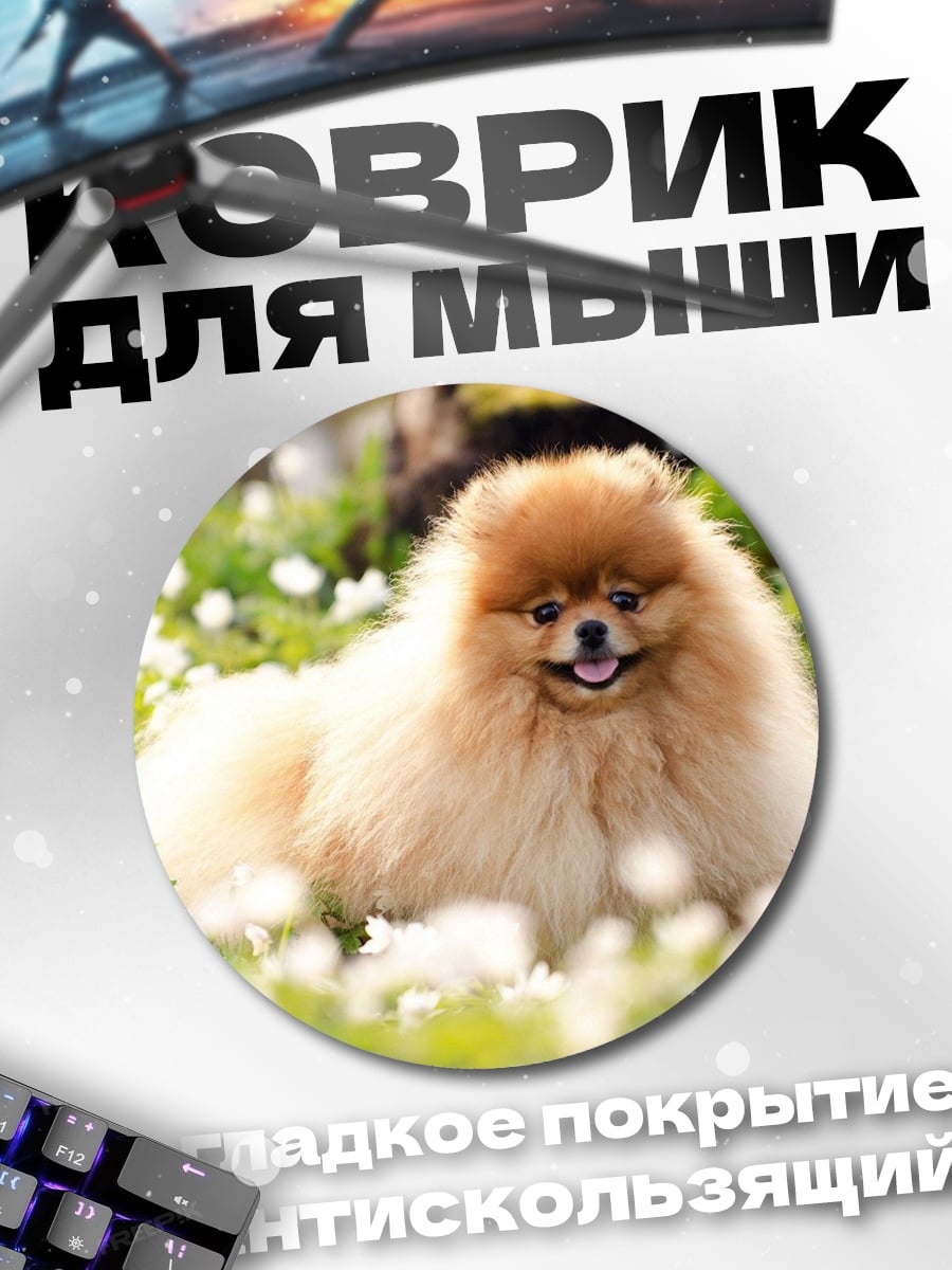 Коврик круглый пушистый шпиц в цветах