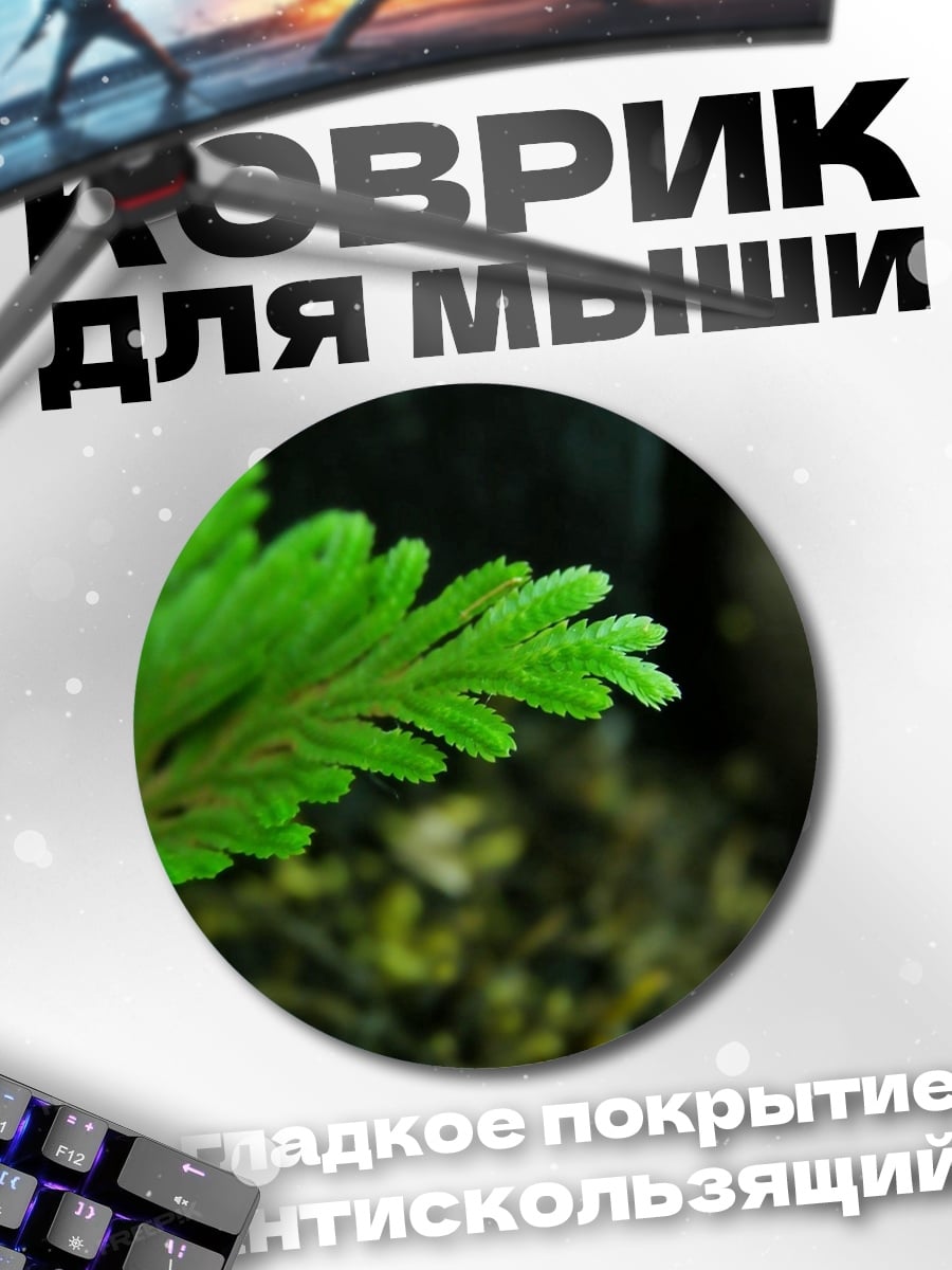 Коврик круглый Зеленый Папоротник
