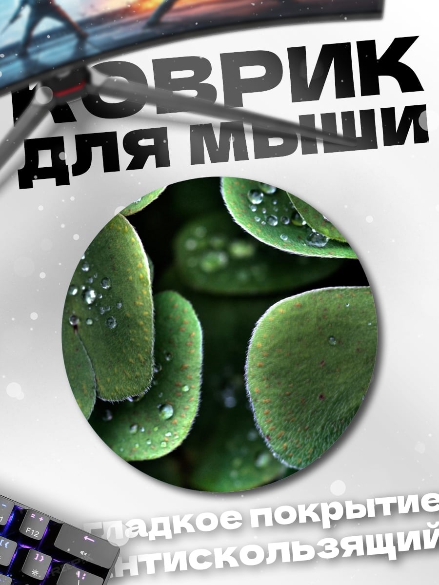 Коврик круглый Божья коровка на клевере