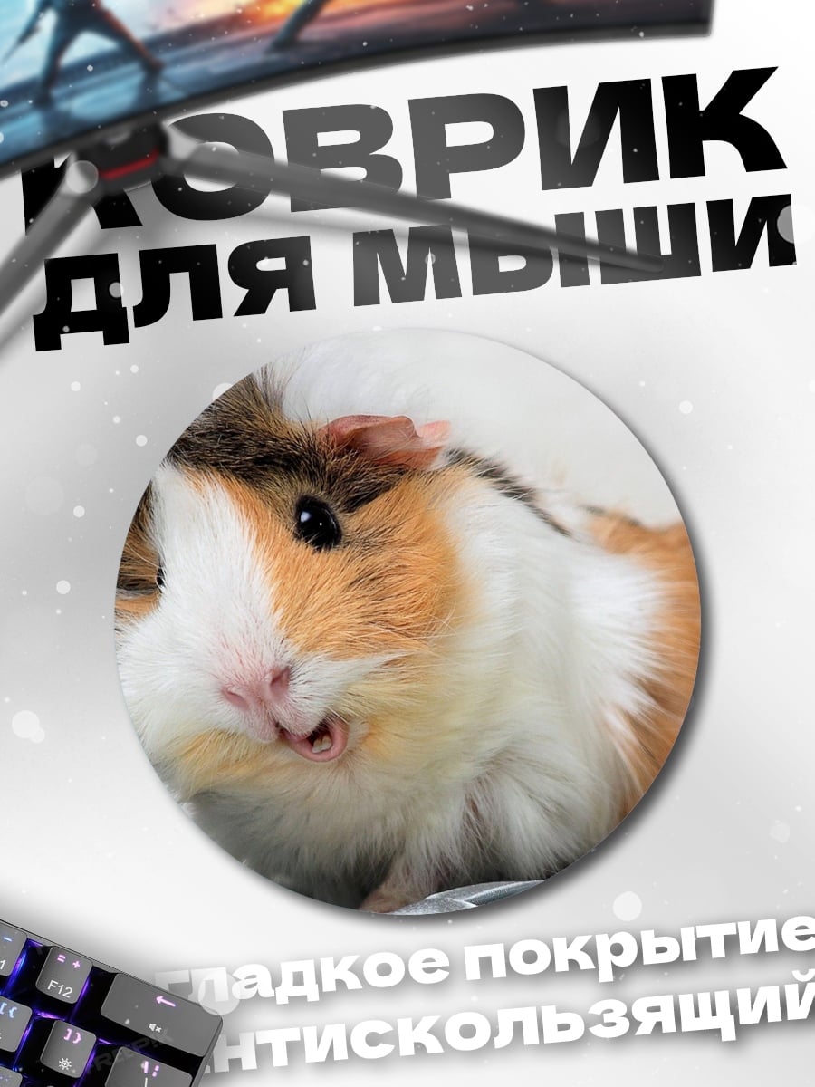 Коврик круглый Морская свинка крупным планом