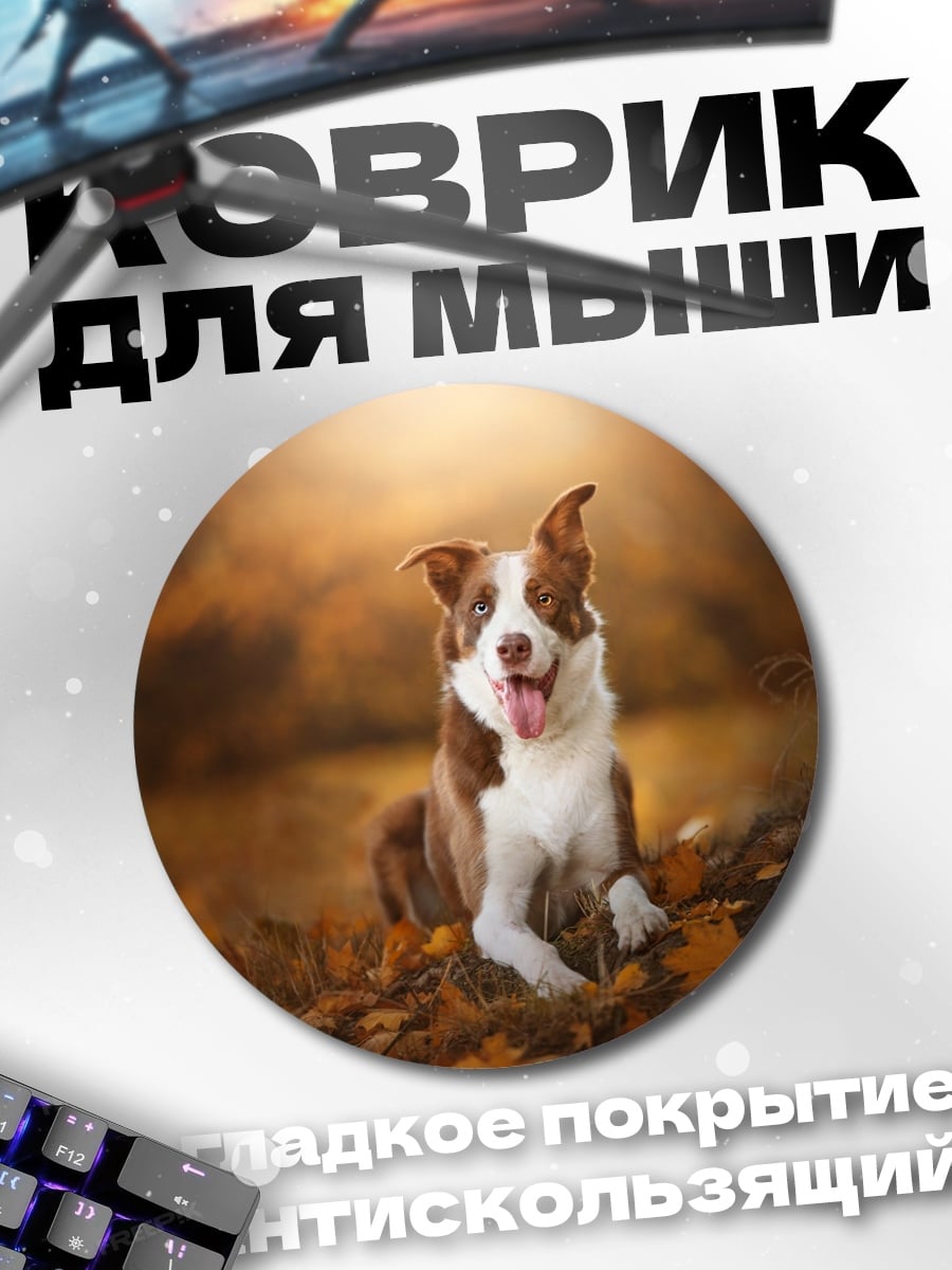 Коврик круглый Собака в осеннем лесу