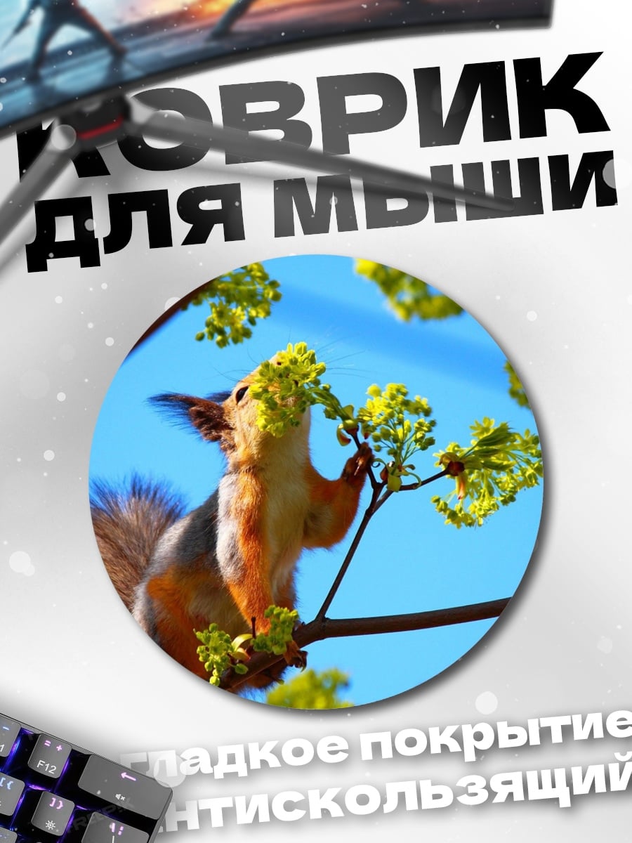 Коврик круглый Белка на ветке