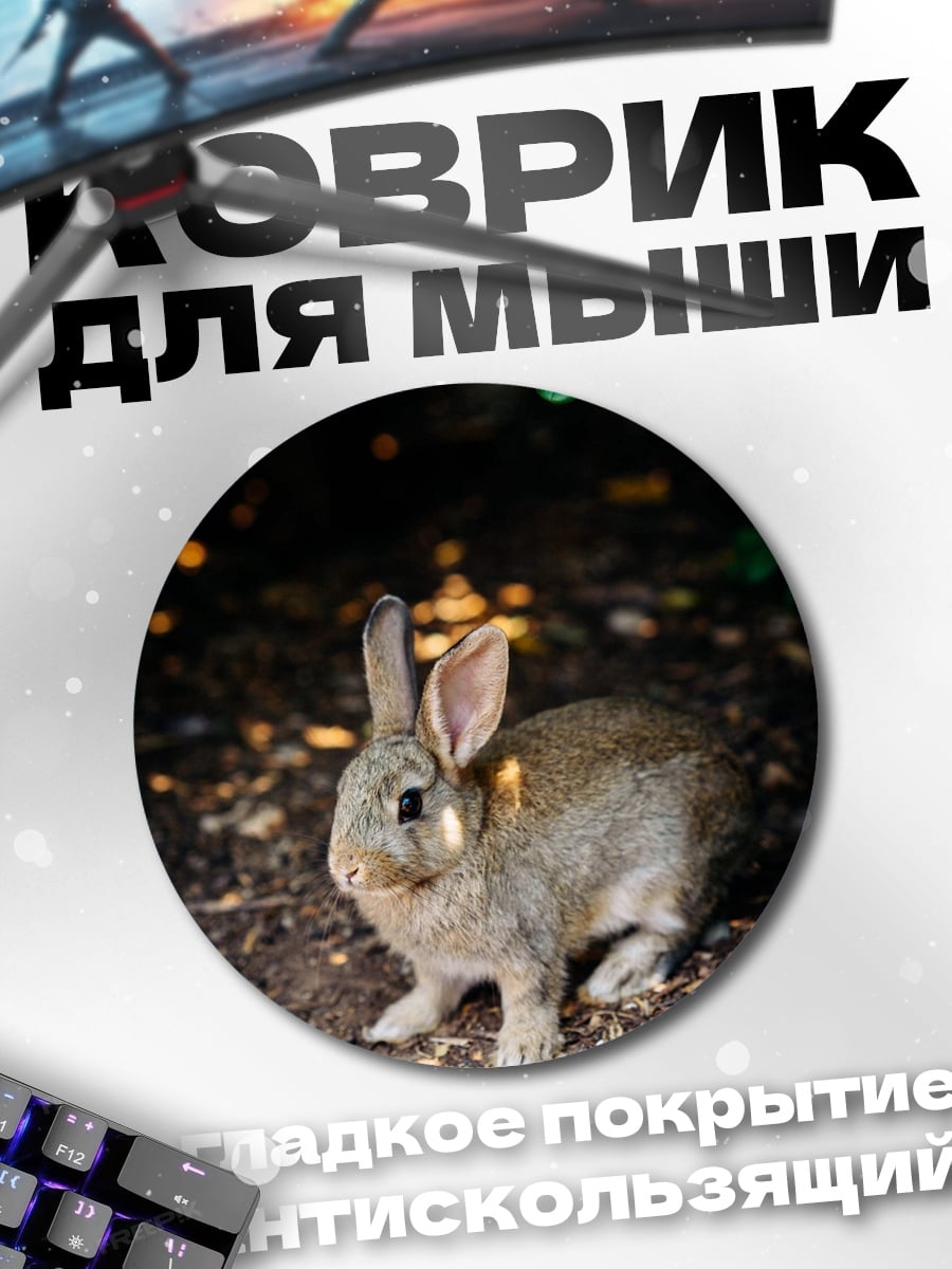 Коврик круглый Заяц на земле