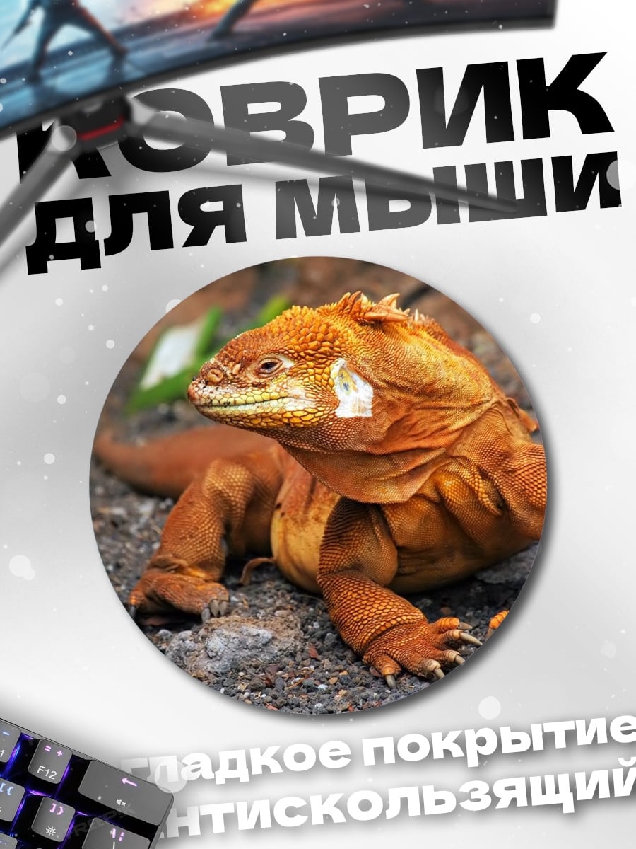 Коврик круглый Оранжевая игуана на земле