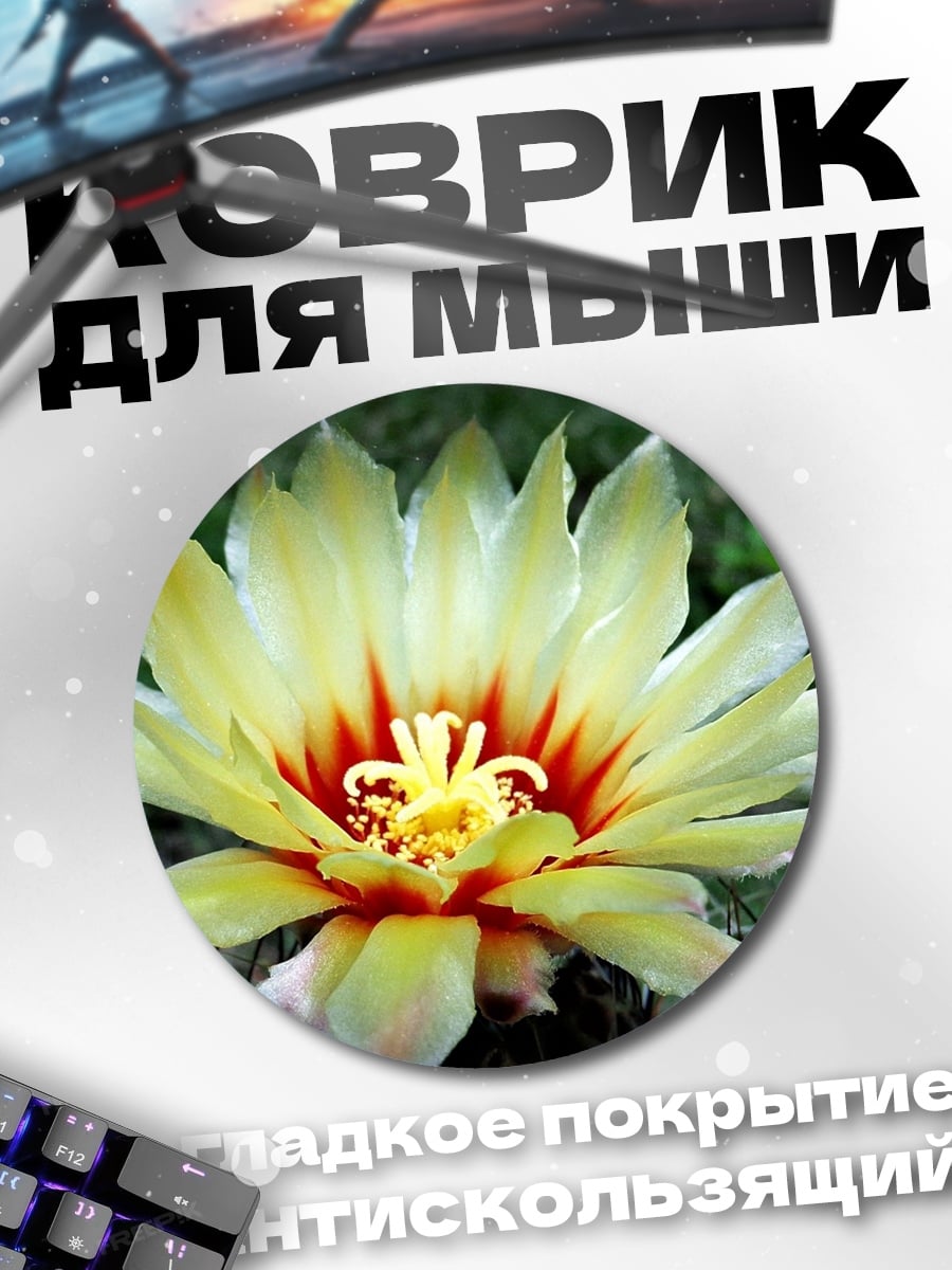 Коврик круглый цветок кактуса