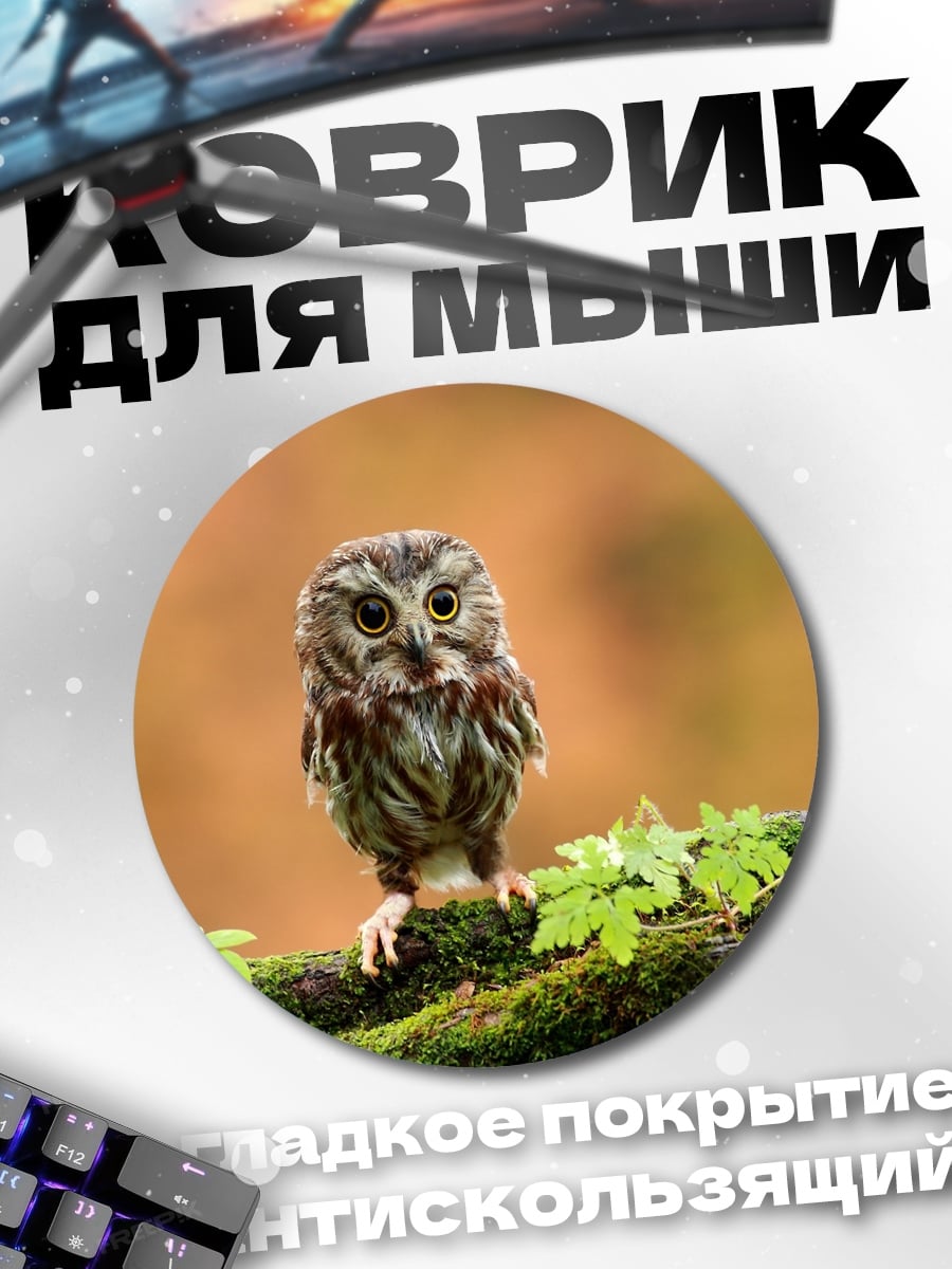 Коврик круглый Маленькая сова на ветке