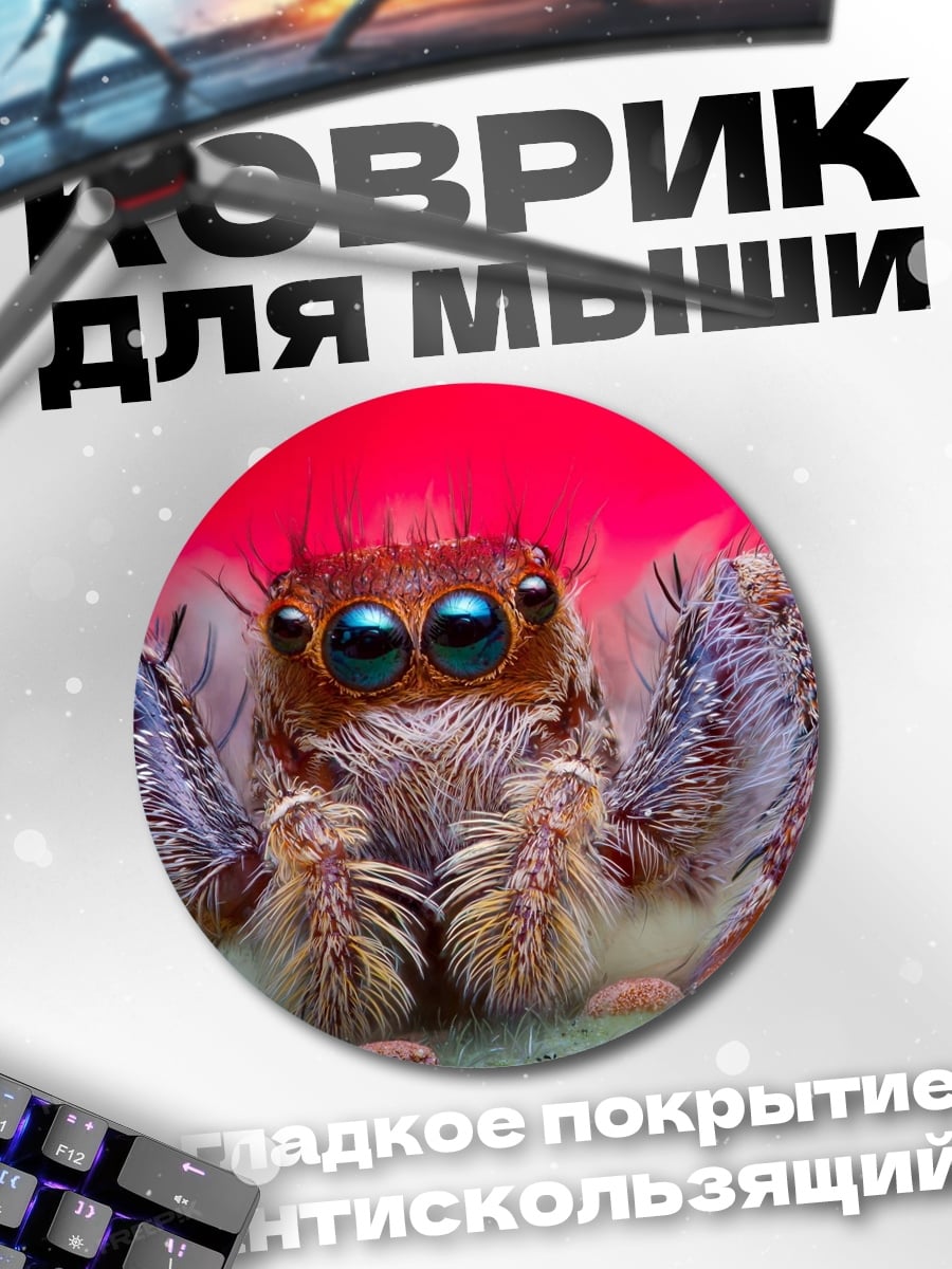 Коврик круглый паук-скакун крупным планом