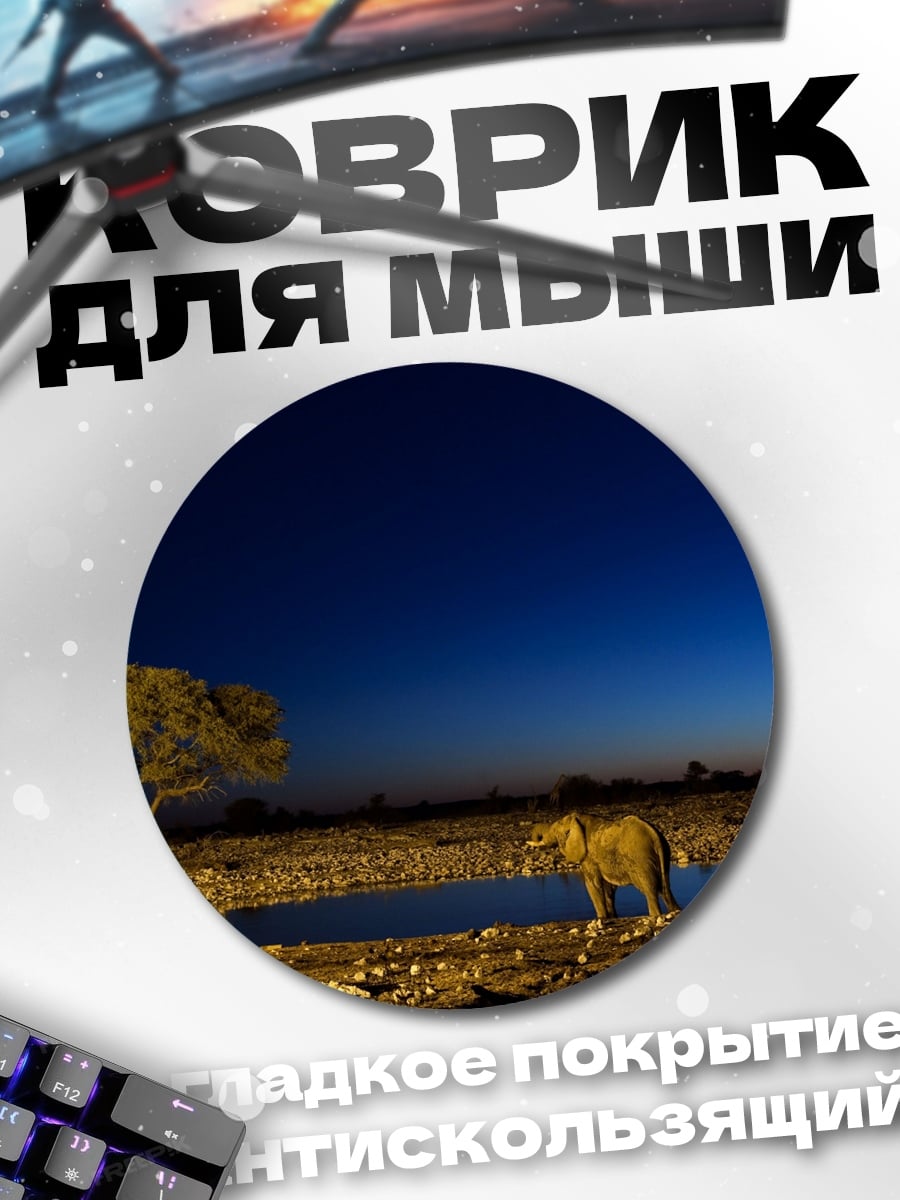 Коврик круглый Лев у водопоя