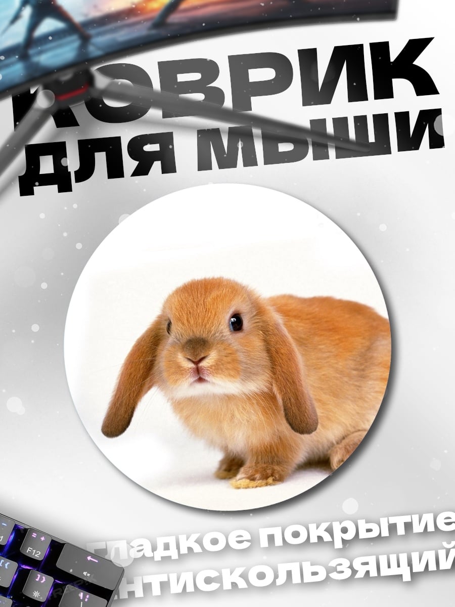Коврик круглый Рыжий кролик
